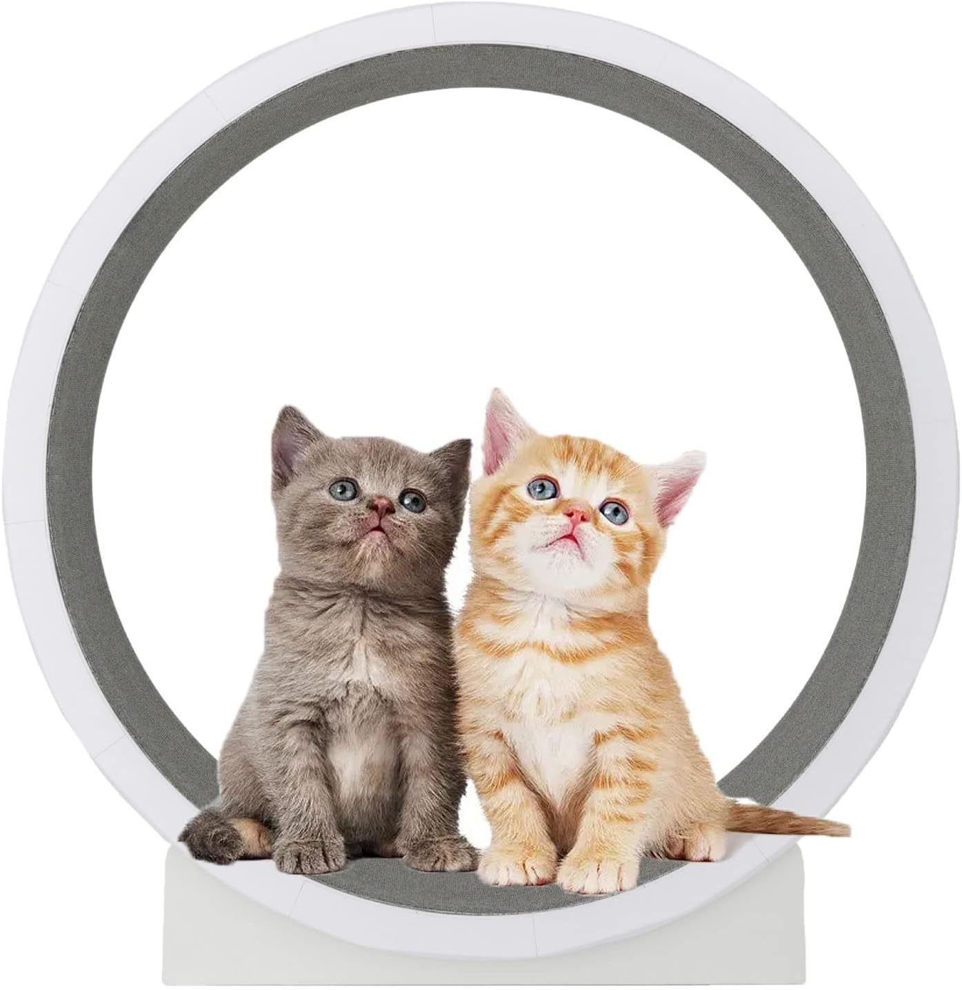 Cat Wheel,Cat Exercise Wheel,Cat Running Wheel,Cat Wheel Exerciser for Indoor Cats,Cat Treadmill,Interactive Cat Toy,For Physical Activity and Reducing Boredom image number 1