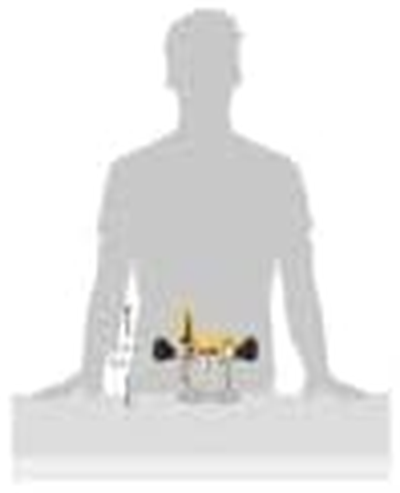 DEWALT Plunge Base for Compact Router, Steel Rods for Smooth Plunge Stroke (DNP612)