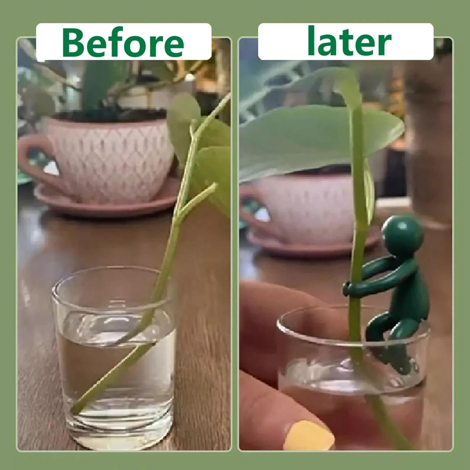 HKYLRAT 3 Pcs Plant Propagation Buddy, Little Man Plant Supports Plant Cutting Holder for Sprouts,Stems Shoots, Cuttings, Plant Nurturing Decorative Plant Supports Garden Decoration for Plant Lover image number 2