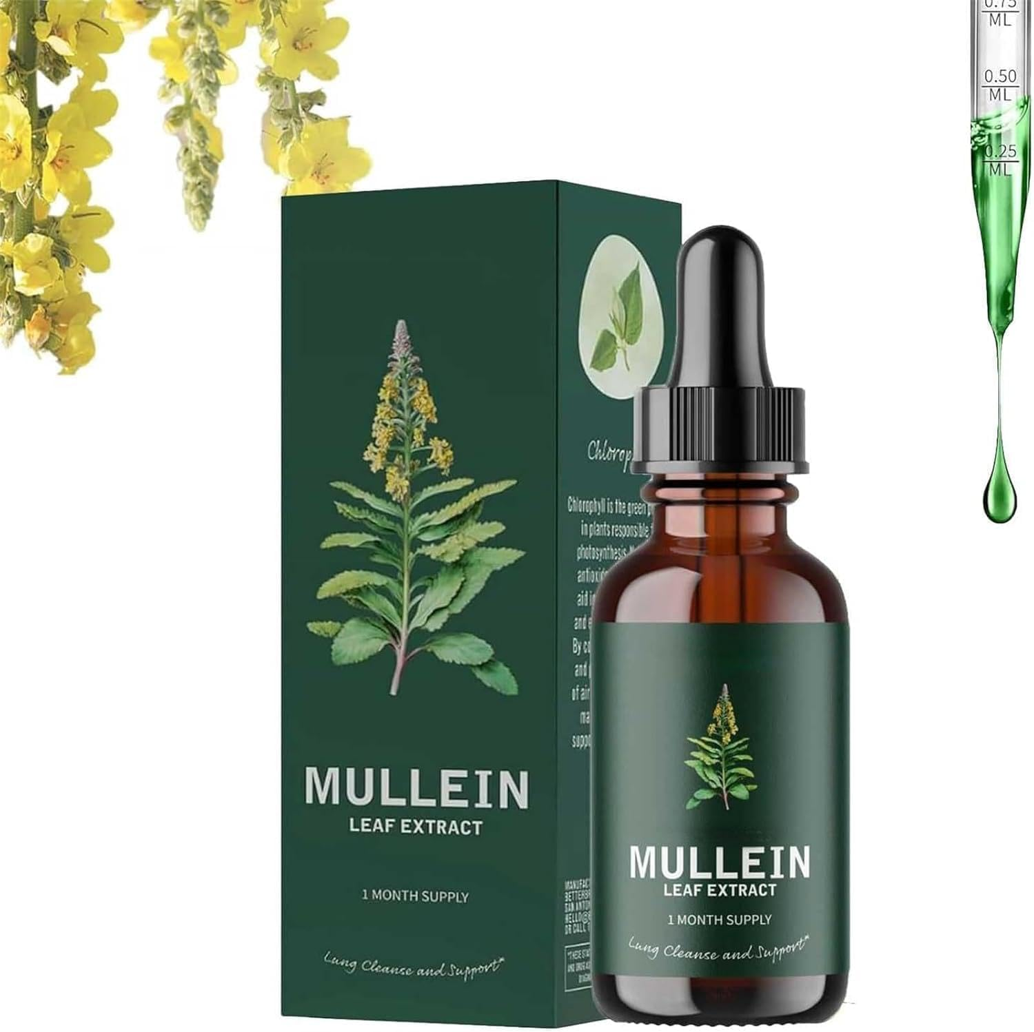 Organic Mullein Leaf Liquid Extract - Alcohol-Free Herbal Drops | Fast-Absorbing Formula - 60Ml image number 6