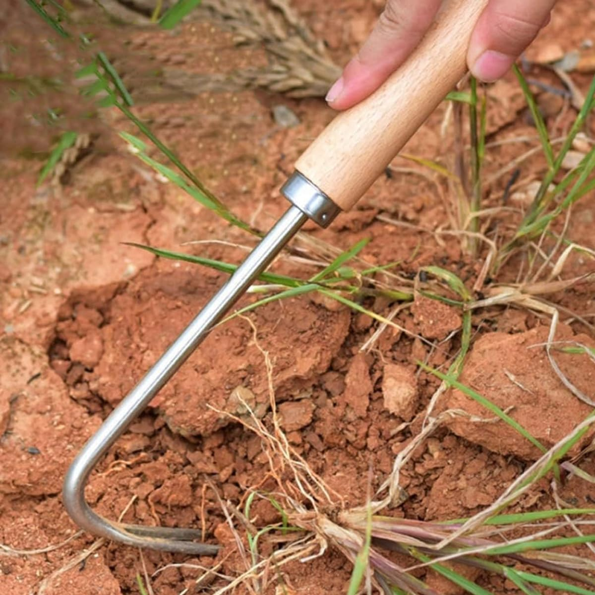 AIMALL Stainless Steel Weeder Tool with Wooden Handle, Lightweight Garden Weed Puller, Available in Sizes, Durable Weed Grabber image number 2