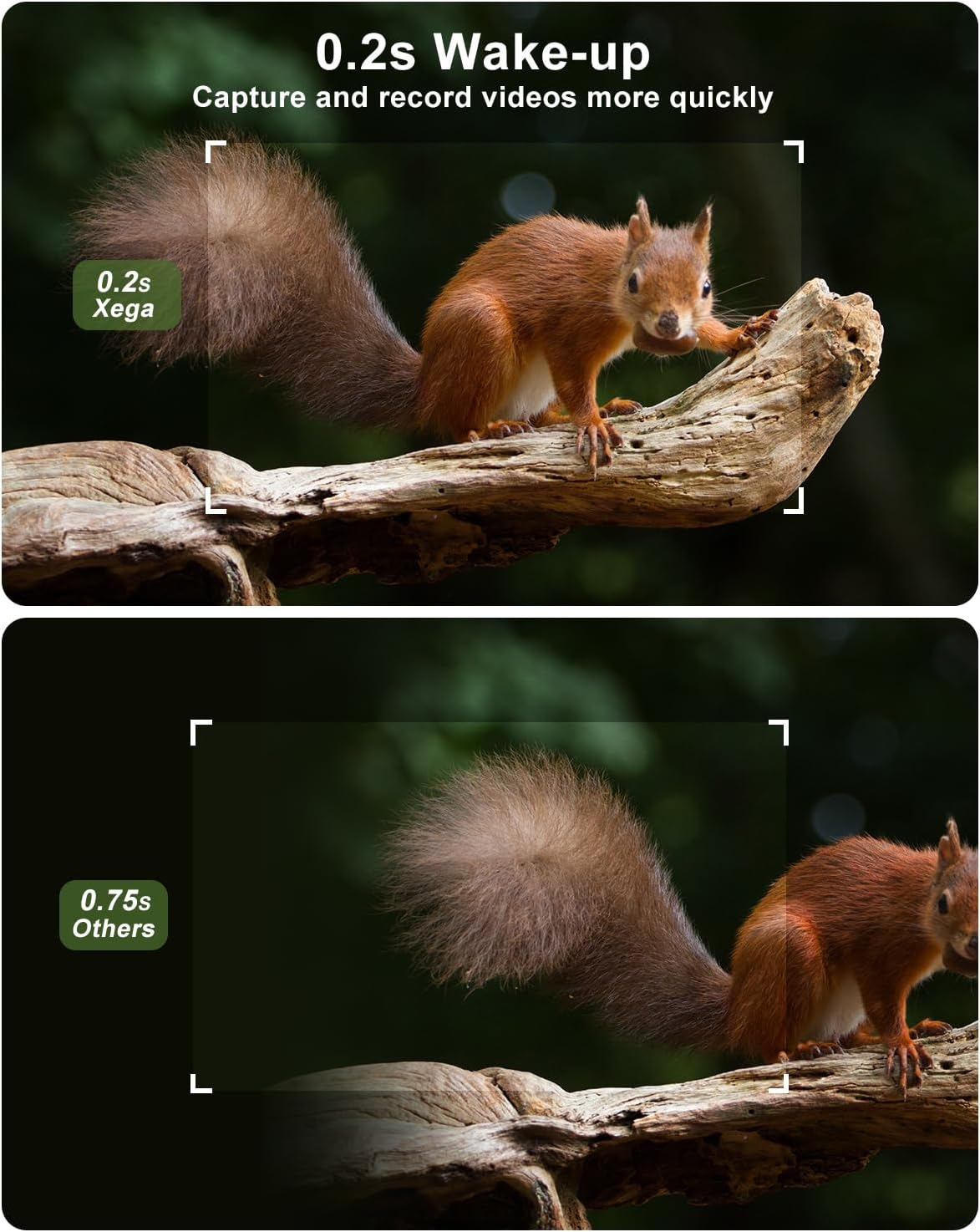 Xega 4G SIM Card Solar Wildlife Camera with Live Feed, 2K GPS No Glow 940Nm Night Vision Trail Trap Hunting Cam, 7800Mah Motion Detection APP Instant Alarm Spotlight Siren Alert, Cloud/Tf Storage,Ip66 image number 5