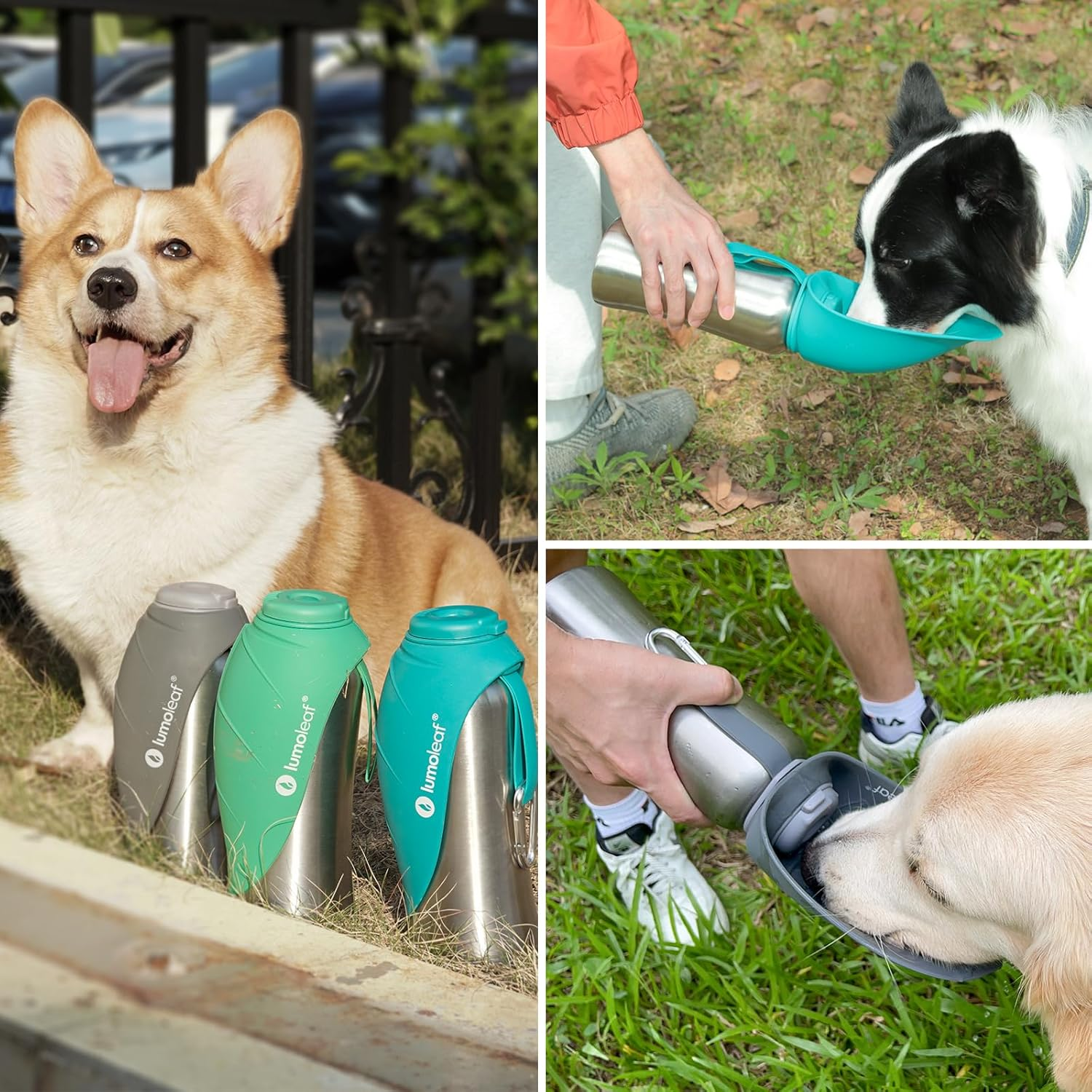 Lumoleaf Portable Dog Water Bottle 27 OZ, Stainless Steel Pet Travel Water Bottle Dispenser for Walking, Hiking and Outdoor, Portable Water Bowl for Large Dogs (Blue) image number 6