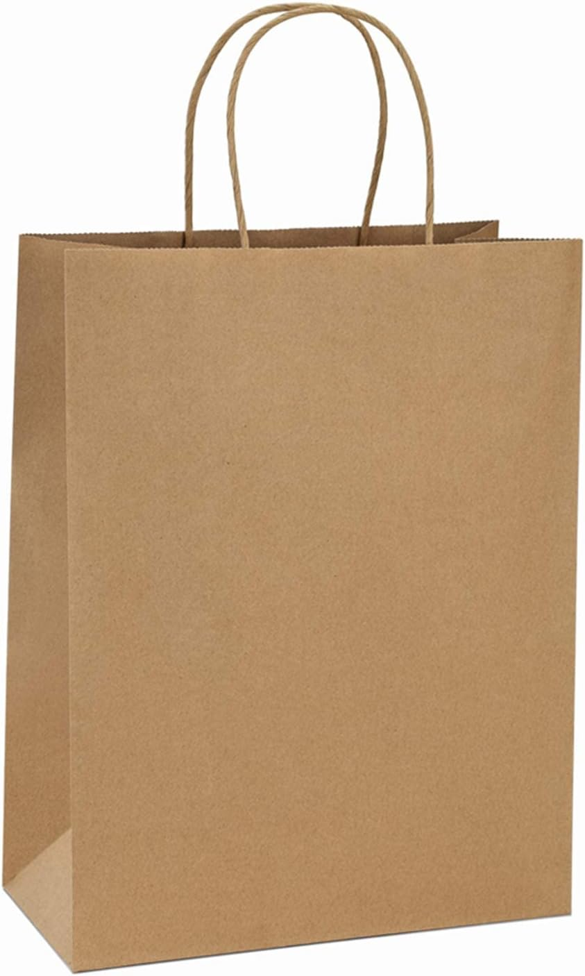 Neulsun 100Pack White Paper Bags 21X11X27 Cm, Plain Medium Paper Bags with Handles Bulk, Kraft Paper Gift, Retail, Party, Shopping Bag, Favor Bag