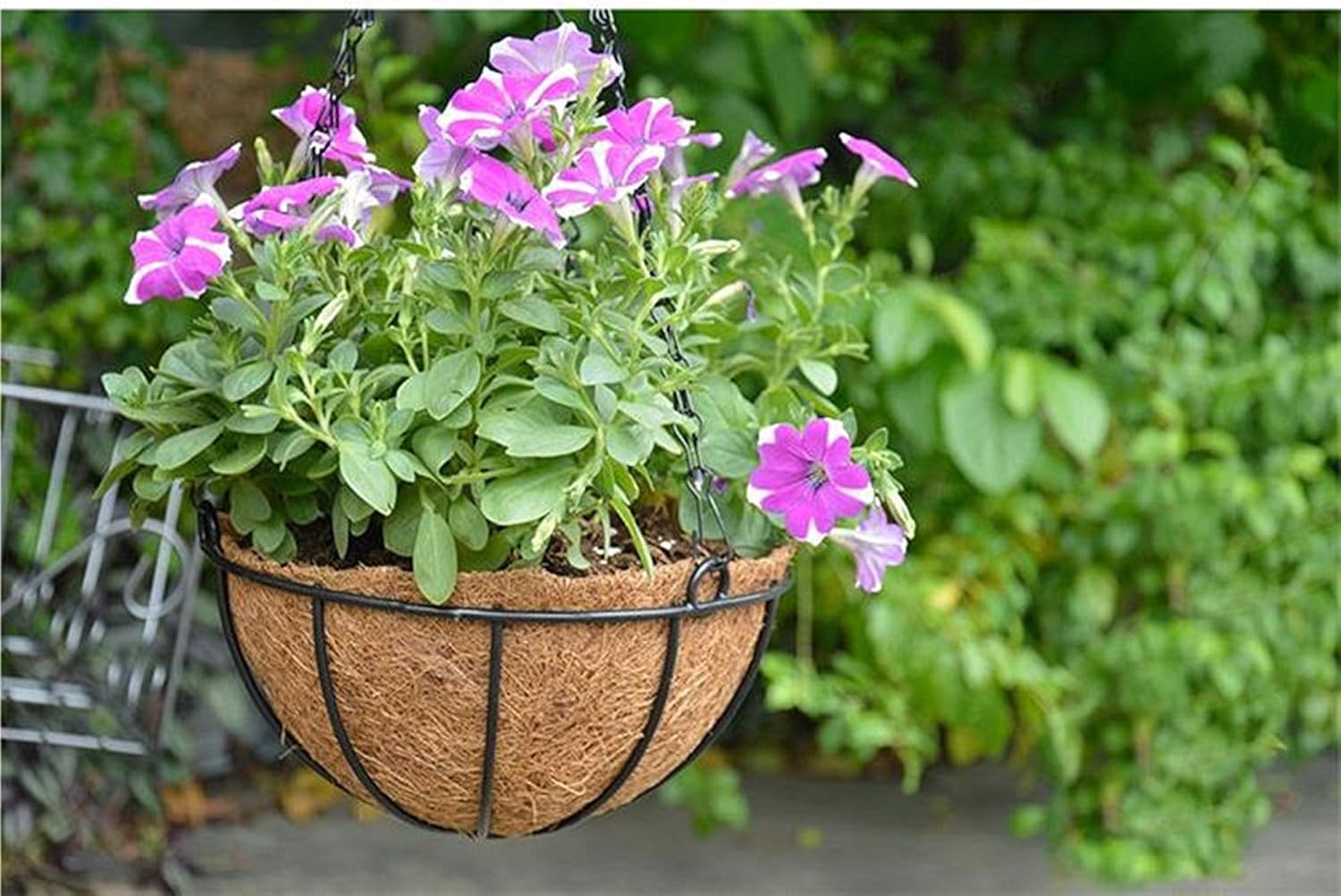 4 Pack Hanging Basket for Plant Garden Outdoor, Metal Hanging Planter with Coco Liner, Hanging Coco Planter Baskets Outdoor for Flowers, Hanging Flower Pots for Garden Balcony Railings Indoor (8 IN) image number 4