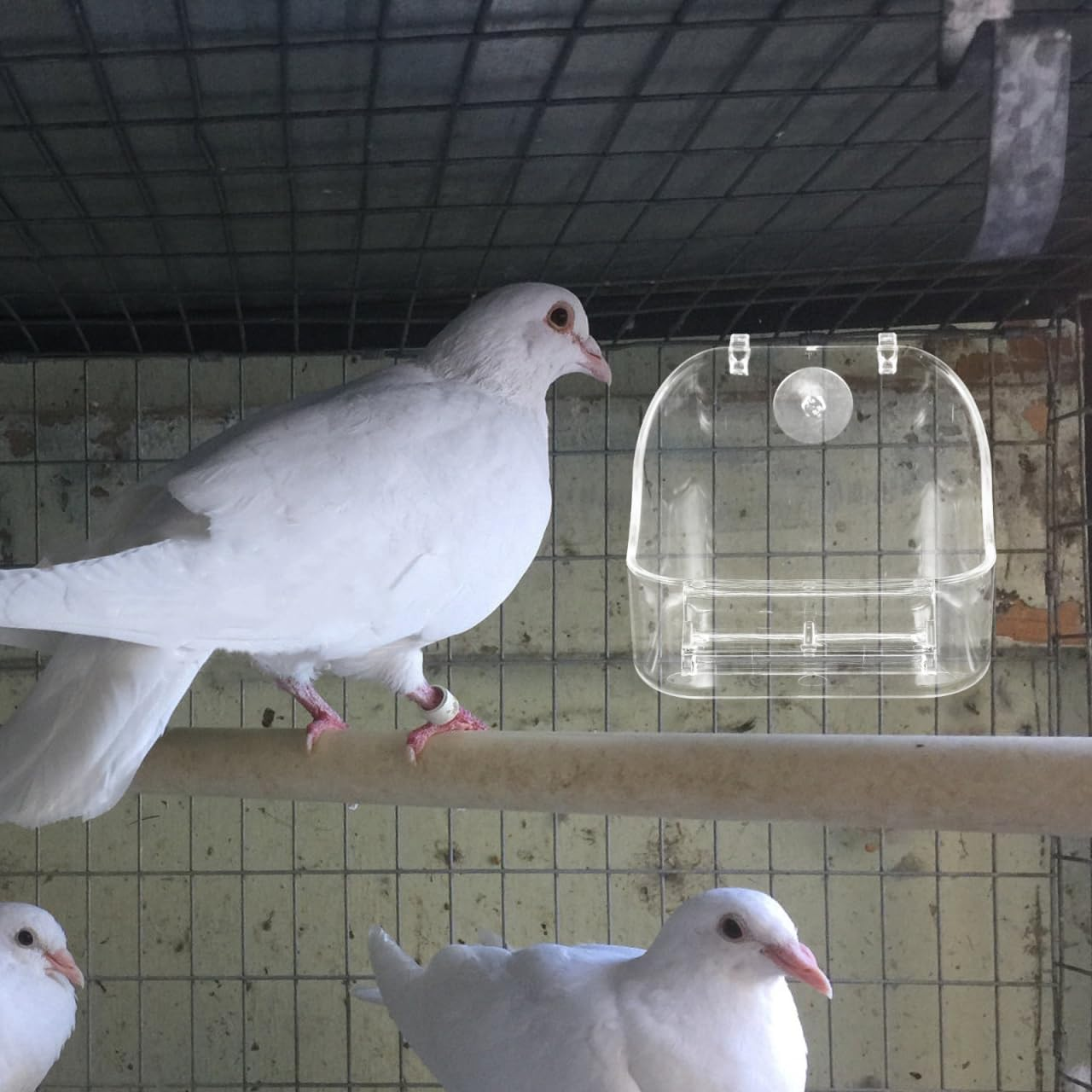 FUNOMOCYA Hanging Bird Bath Tub 5 X 3.7 Multipurpose Cage Accessory for Parakeets and Small Birds Feeder and Shower Easy to Assemble and Clean image number 4