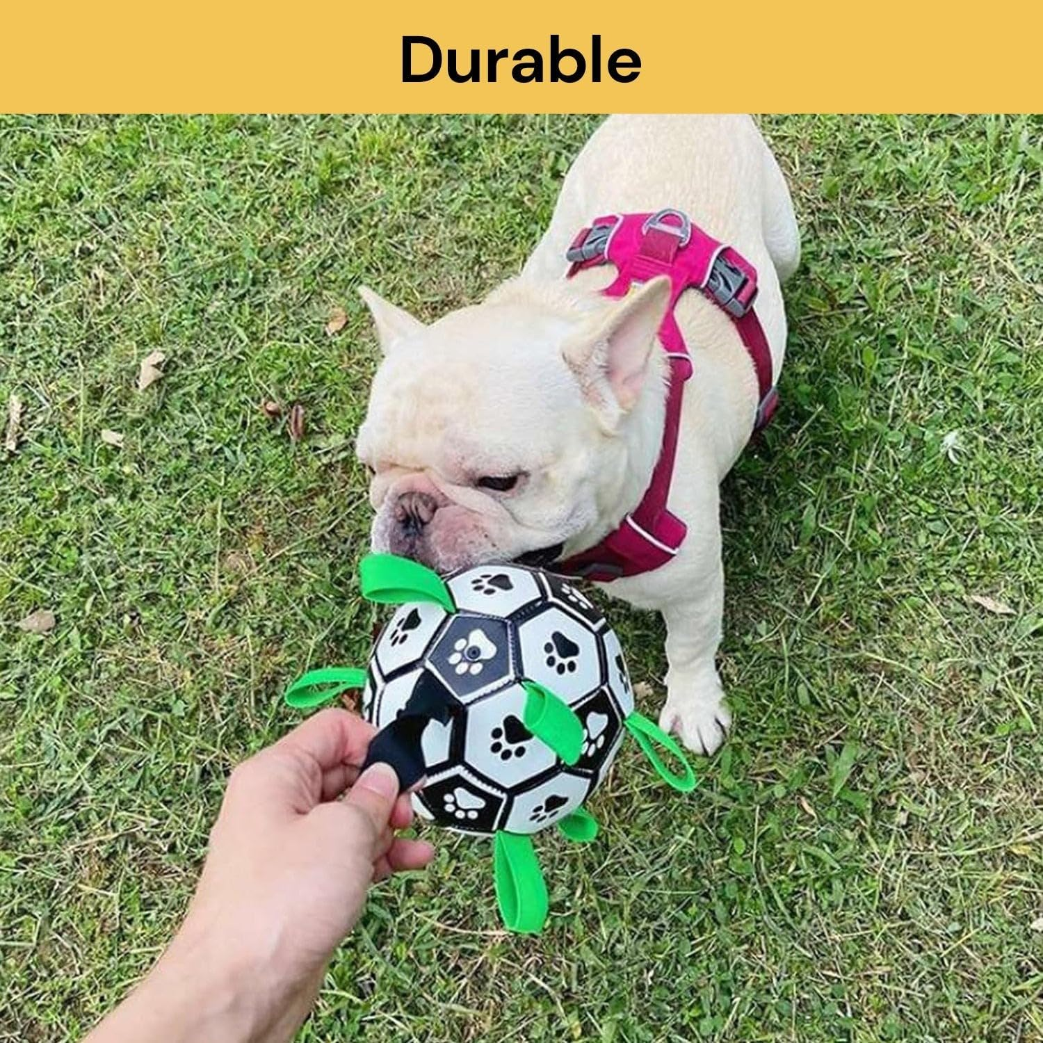 EZONEDEAL Dog Soccer Ball with Grab Tabs, Ball Bounce Interactive Dog Toys for Tug of War, Dog Tug Toy, Dog Water Toy, Durable Dog Balls for Small & Medium Dogs
