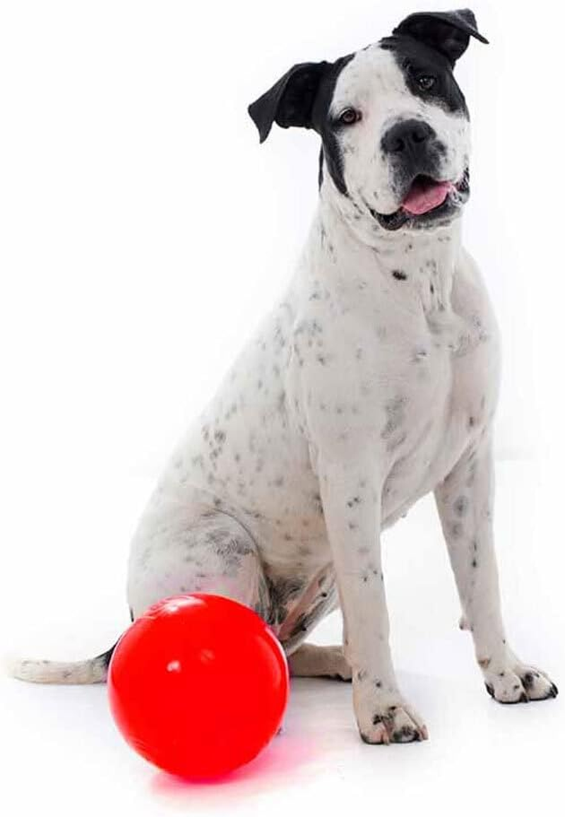Aussie Dog Products 19Cm Pet Enduro Interactive Hard Ball Play Toy Outdoor Red M