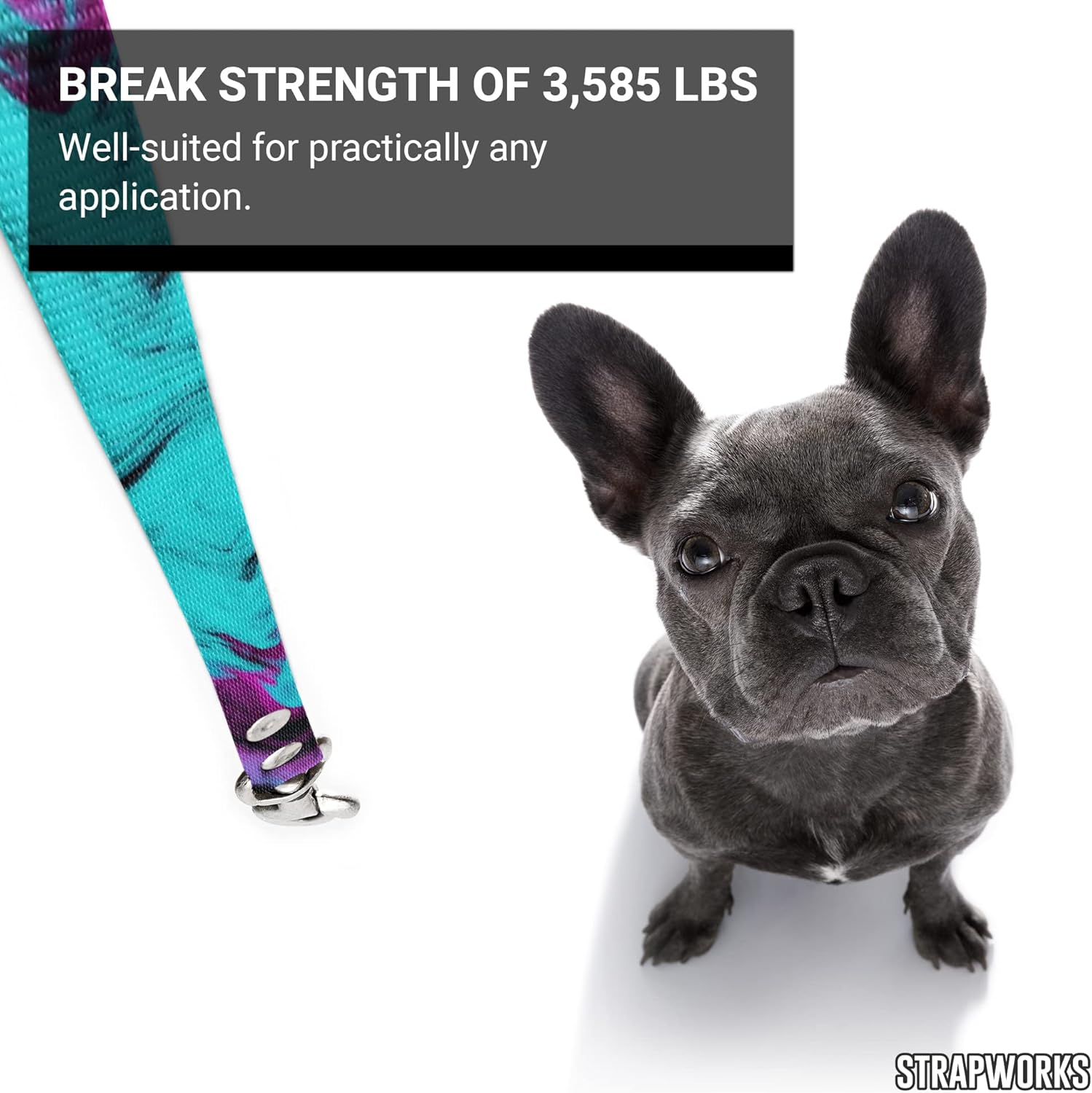 Strapworks Print Poly Webbing - Utility Strap for Outdoor Activities, Crafts, Dog Leashes - 1 Inch X 10 Yards, 5 Colorful Prints image number 6