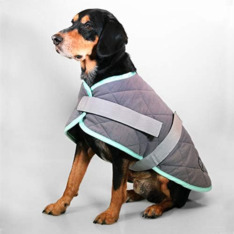 Grey/Turquoise 70Cm Nightsleeper Dog & Puppy Coat/Jacket (Pet One) image number 1
