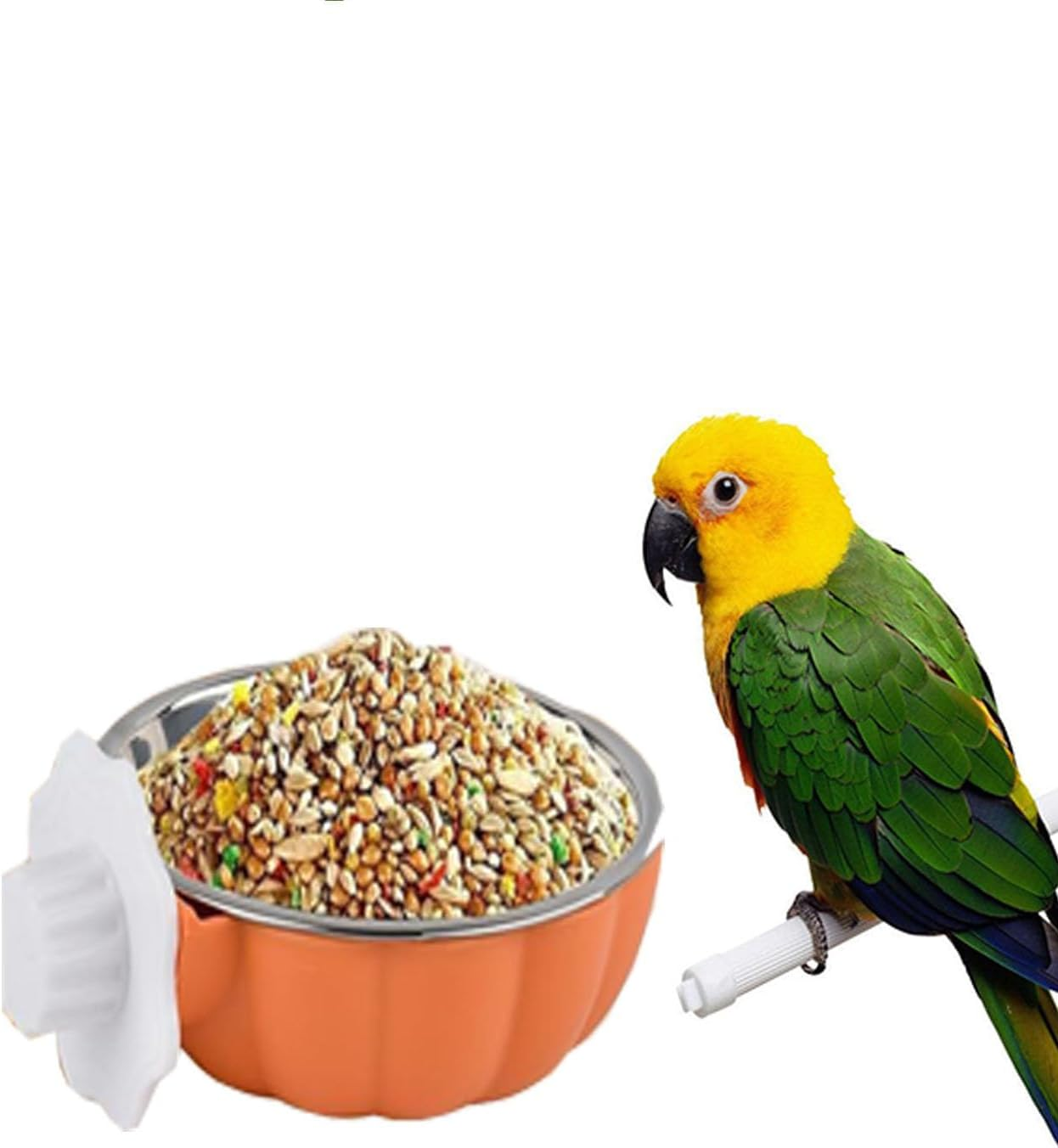 Limcryspp Stainless Steel Anti-Spillage Bird Food Bowl, Hanging Parrot Food Basin, Suitable for Indoor and Outdoor Cage Keeping of Black Phoenix, Peony and Tiger Parrots to Prevent Overturning (Big) image number 2