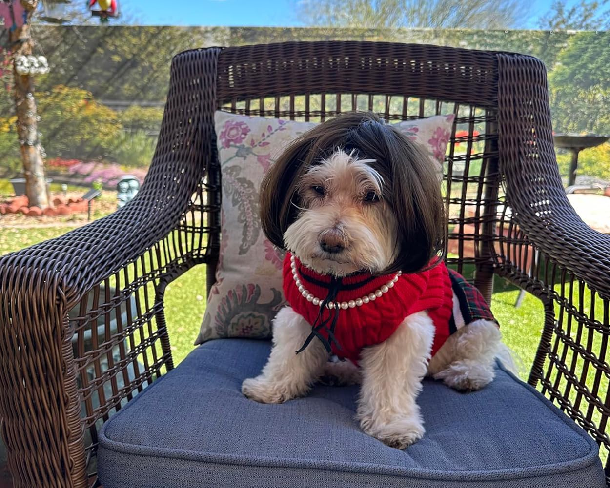 DS. DISTINCTIVE STYLE Dog Wig for Small and Medium Breeds Trimmable Pet Costume Accessories Cat Cosplay Prop for Halloween, Christmas, and Dress Parties image number 2