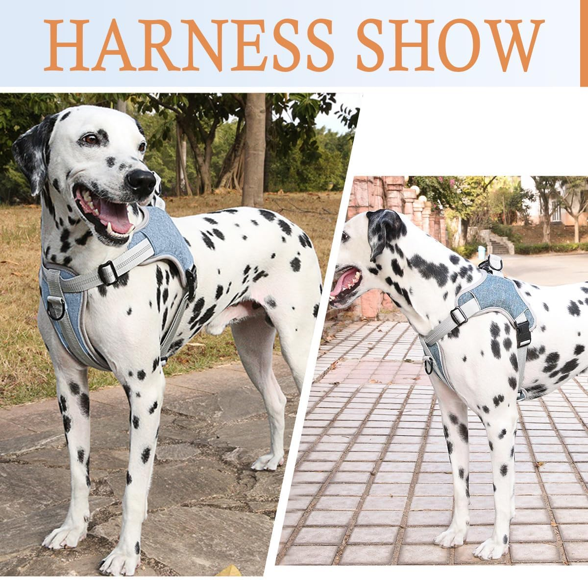 Agoumlux Dog Harness Anti-Pull Harness Adjustable Reflective Chest Harness for Large Medium Small Dogs, Blue, S image number 5