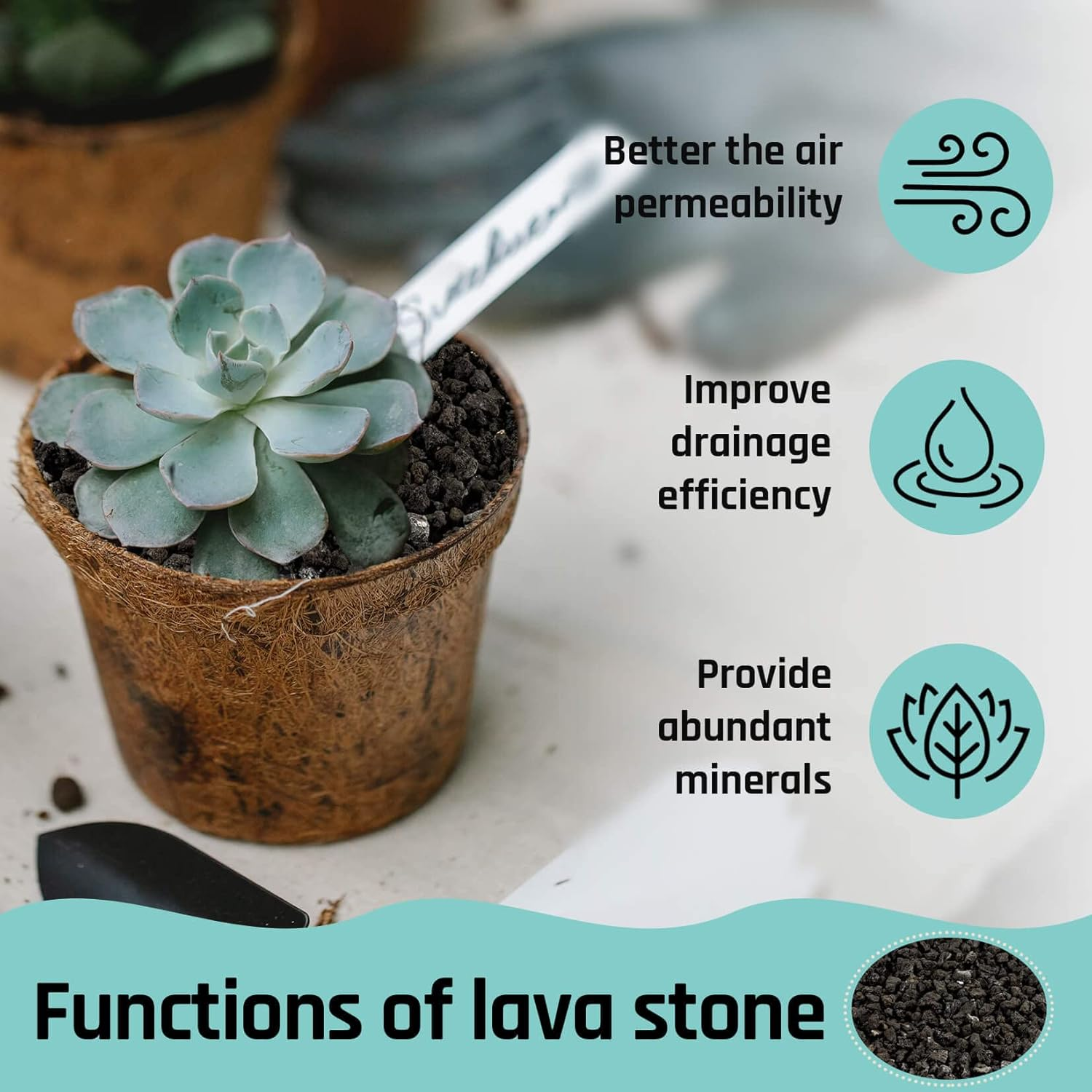 Sukh Black Lava Rock - Horticultural Volcanic Lava Stone for Cacti Succulents Terrarium Vase Fillers Fairy Gardening Plants Groundcover Flowerbeds Volcanic Stone No Dyes.