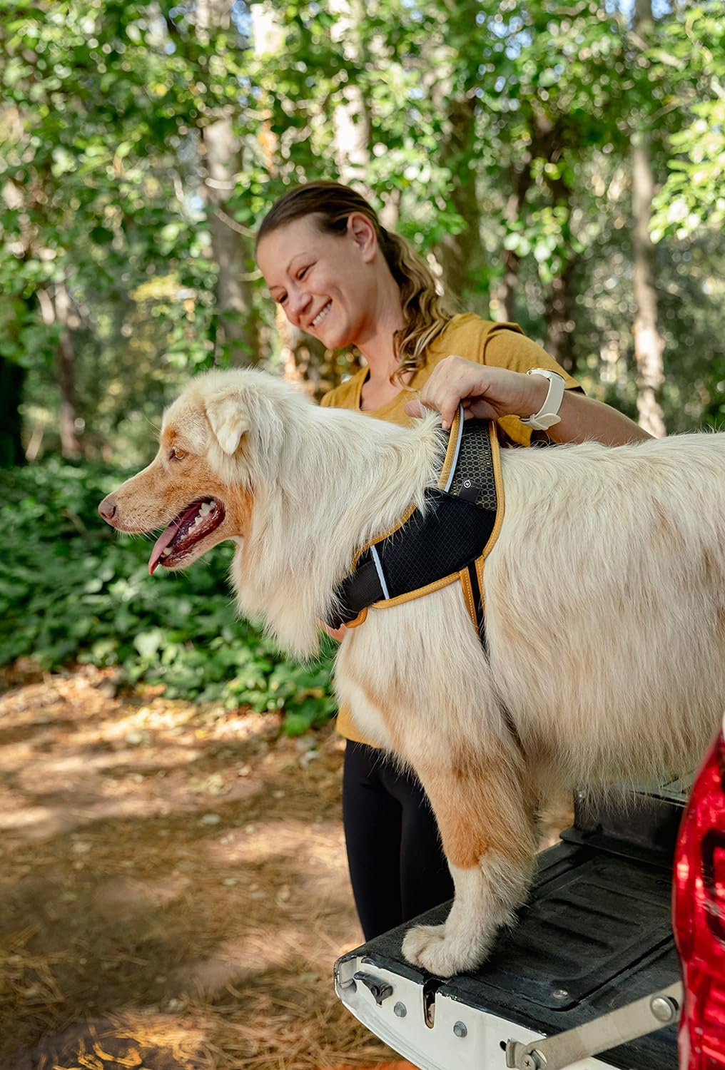 Rogz Airtech Sport Dog Harness, Nightsky Black, Medium