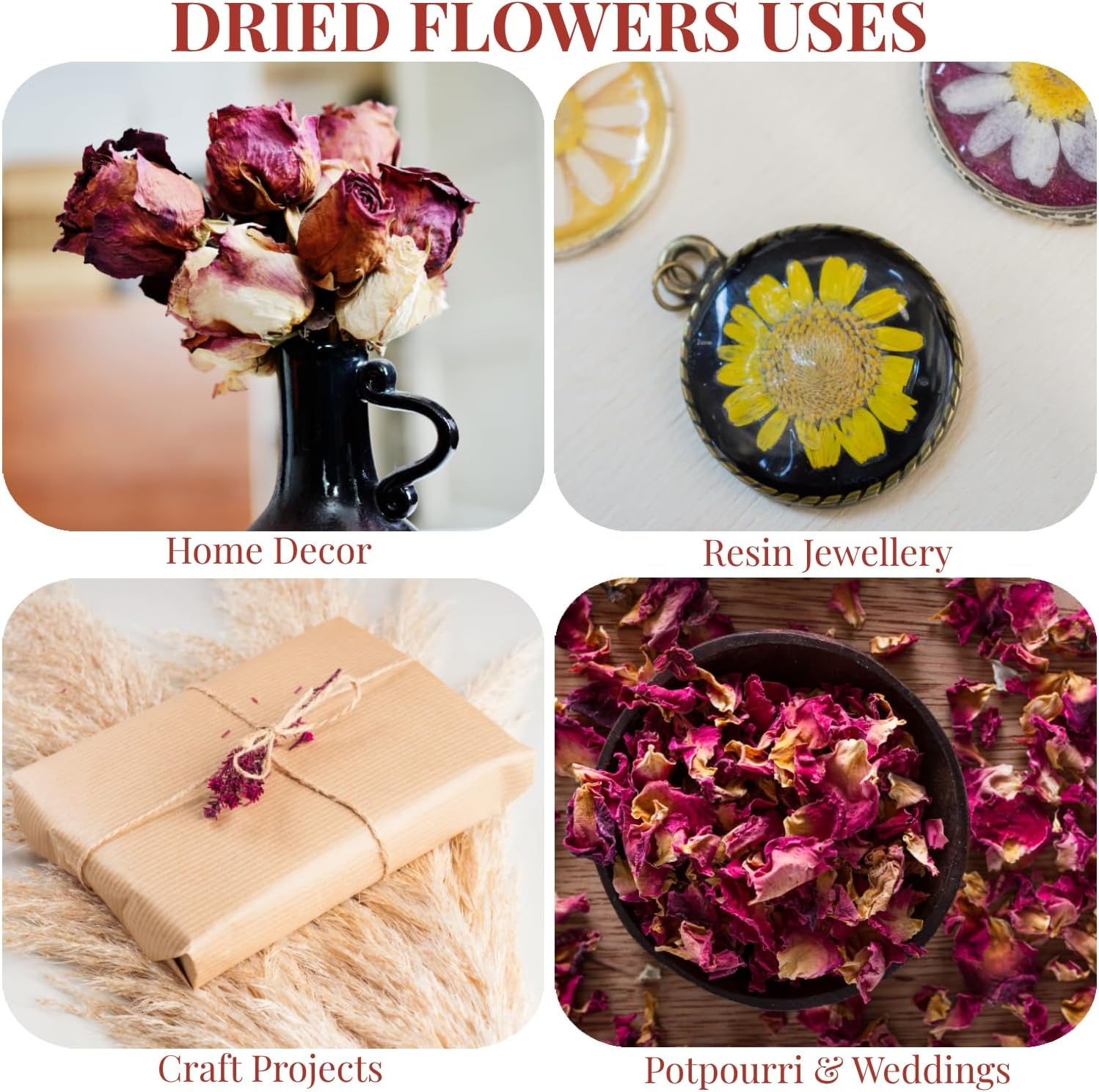 Florasorb Flower Drying Crystals. 500G Reusable Silica Gel for Drying Flowers. Silica Gel Flower Drying Crystals, Color Indicating Flower Drying Silica. 500G image number 1