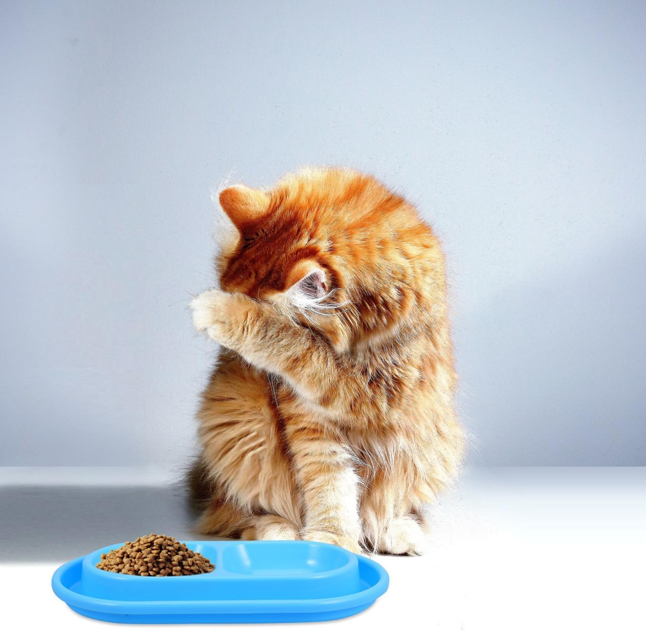 Kisangel -Ant Cat Bowl Cat Food Bowl Pet Food Bowl Cat Water Fountain Cat Water Bowl Small Flat Pet Dish Ant Away Cat Bowls Food Water Bowls Dish Away Dog Bowls Kitten Dish Pp Blue image number 6