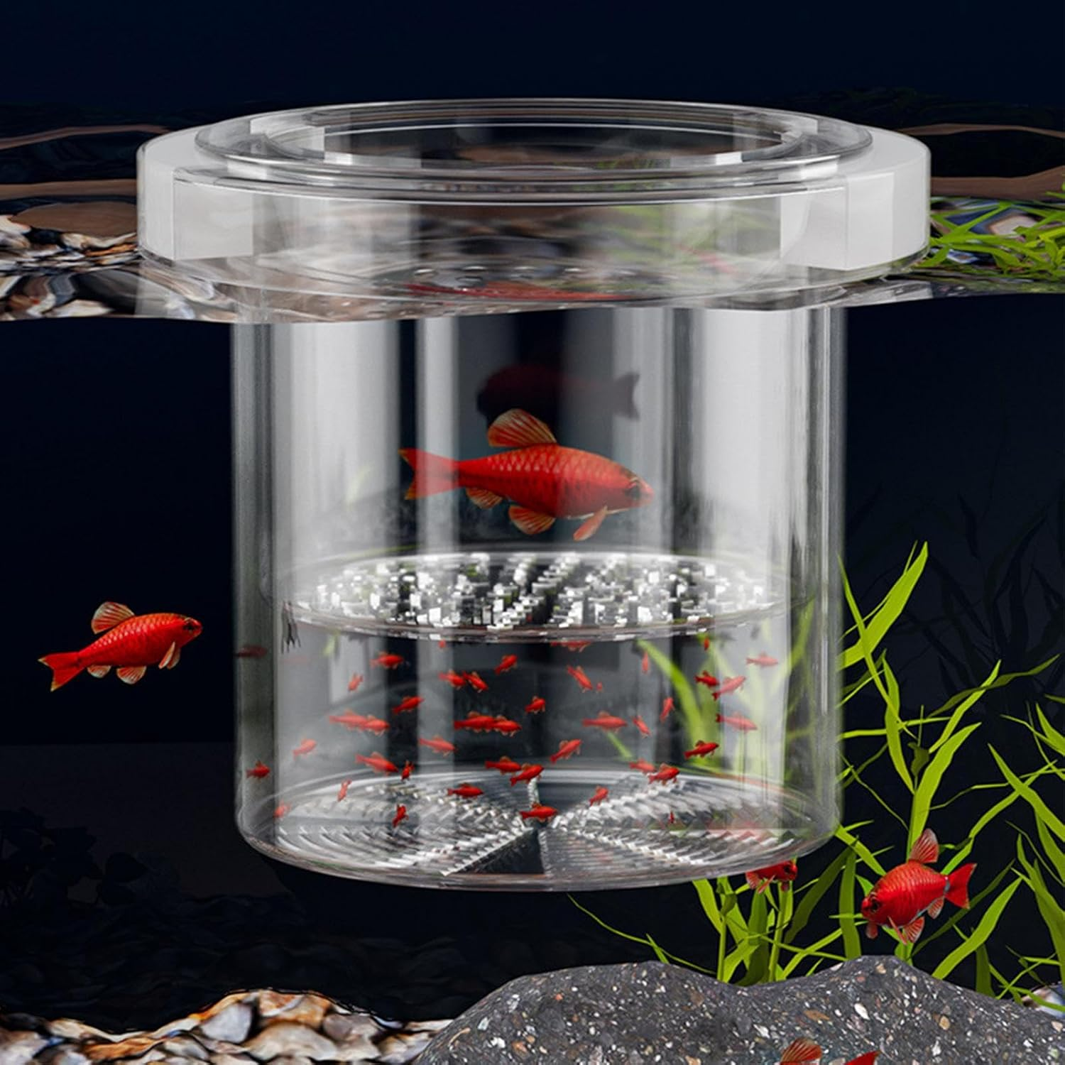 Isolation Box for Fish Tank | Mesh Breeding Box for Fish Tank,Floating Divider Container Hatchery Incubator for Shrimp Guppy Egg Angelfish Fry Acclimation - Circular image number 2