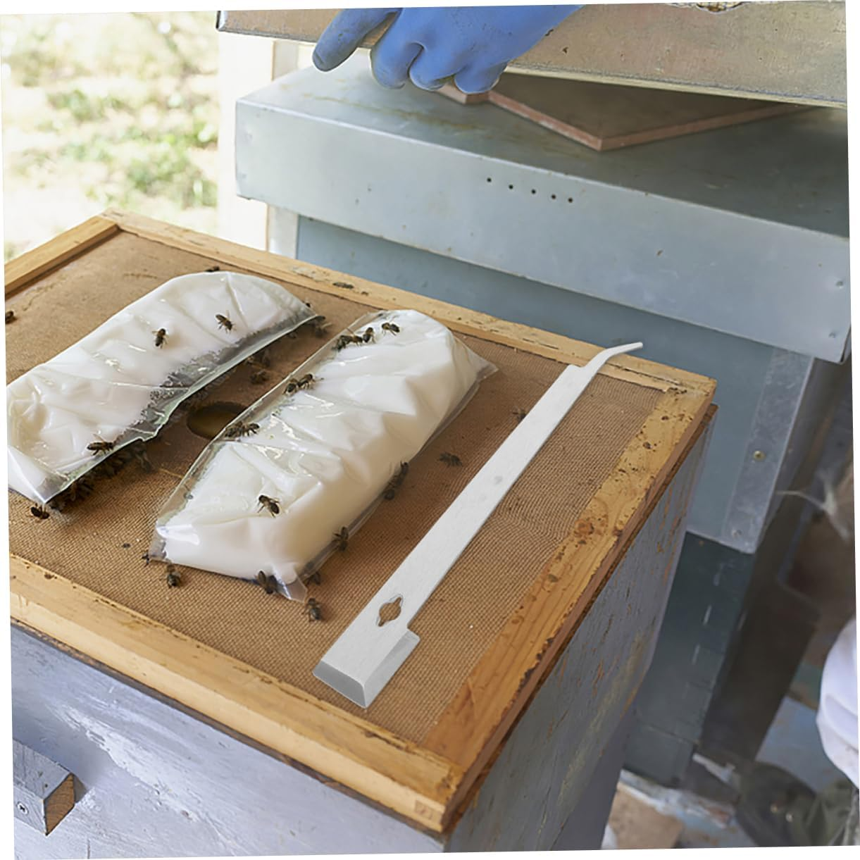 HANABASS 2Pcs Stainless Steel Beehive Scraper for Beekeeping Hive Tool Beehive Box Scrapers image number 3