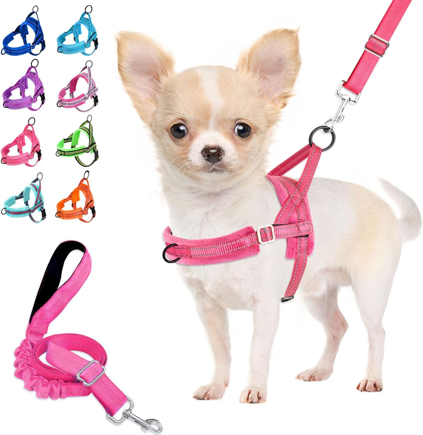 Lukovee Easy Walk Dog Harness and Leash, Heavy Duty Adjustable Puppy Harness Soft Padded Reflective Vest Harness Anti-Twist 4FT Pet Lead Quick Fit Lightweight for Small Dog Cat (Xx-Small, Purple)