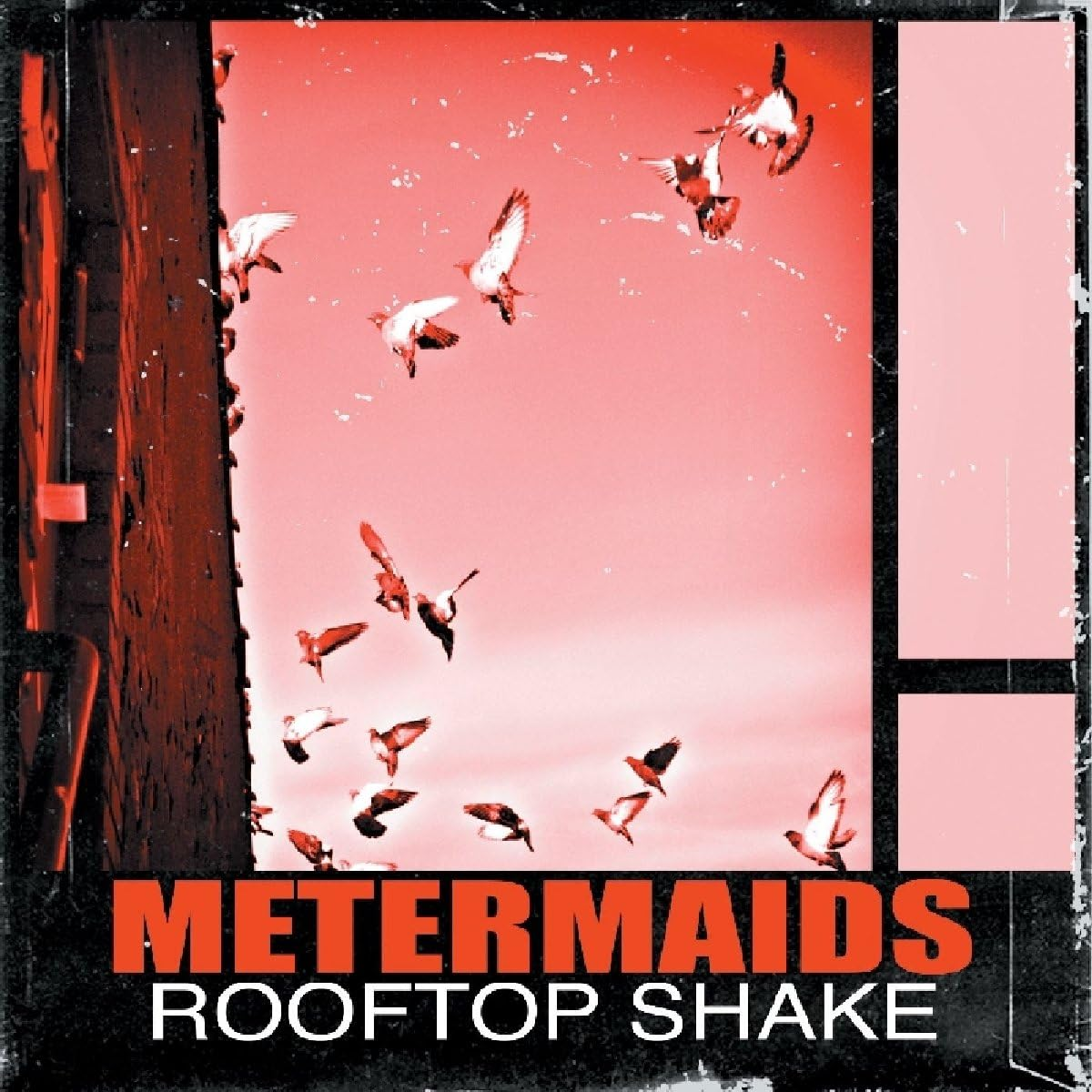 Rooftop Shake image number 1