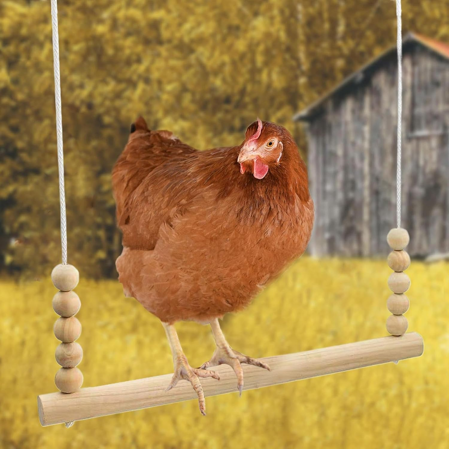 Chicken Swing - Wood Chicken Swing Toy | Perch Ladder Safe Play Enrichment Interactive Climbing Equipment for Backyard Farm Poultry Parrots Hens Rooster