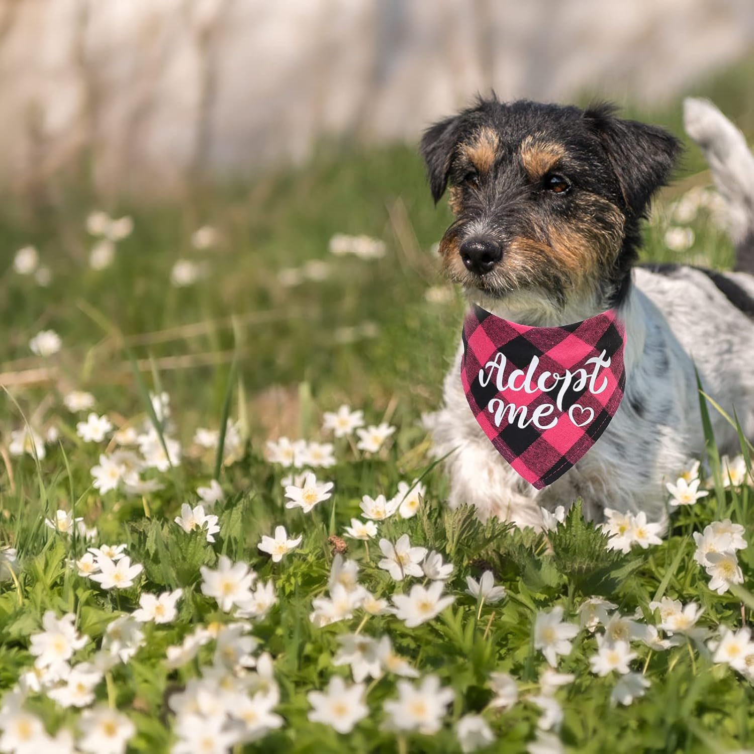 HACRAHO Dog Bandanas, 3 PCS Adopt Me Plaid Dog Bandana Adjustable Dog Bibs Scarf for Small Medium Dogs and Cats, M - L image number 7