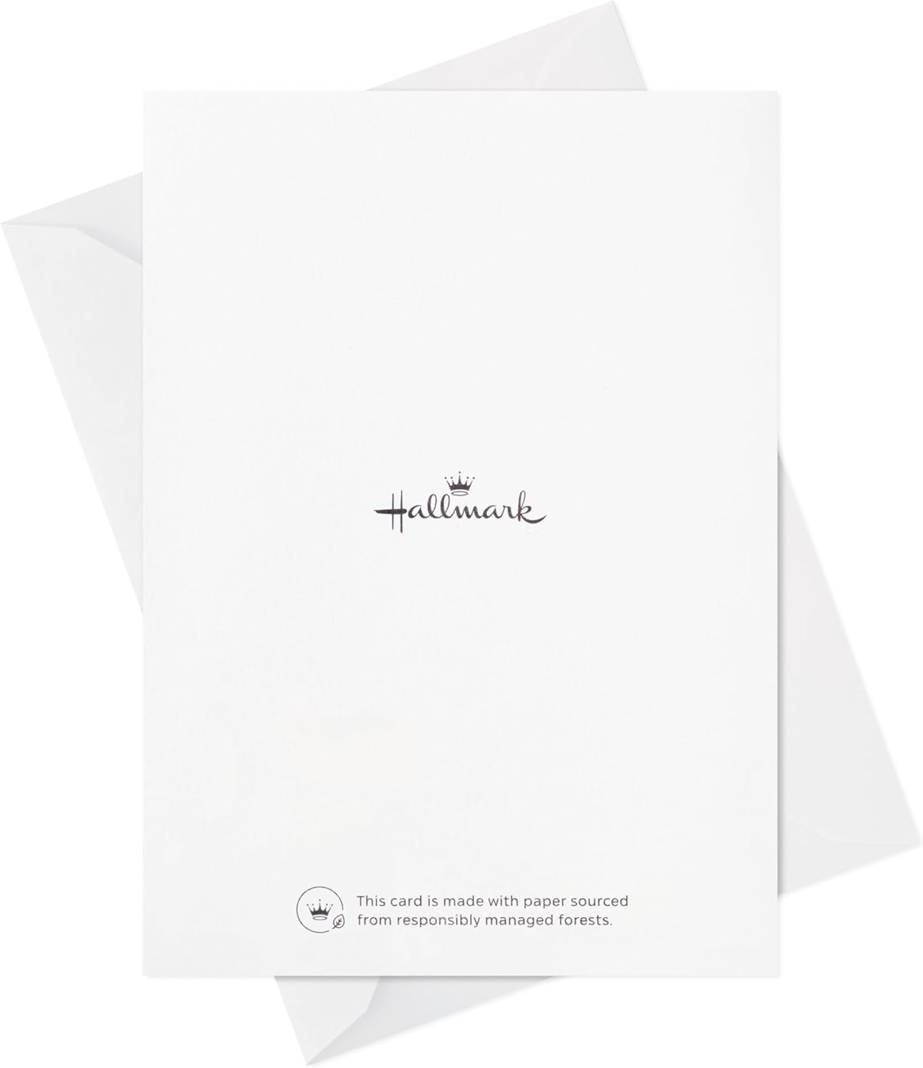 Hallmark Blank Cards Assortment, Painted Flowers (48 Cards with Envelopes) image number 4