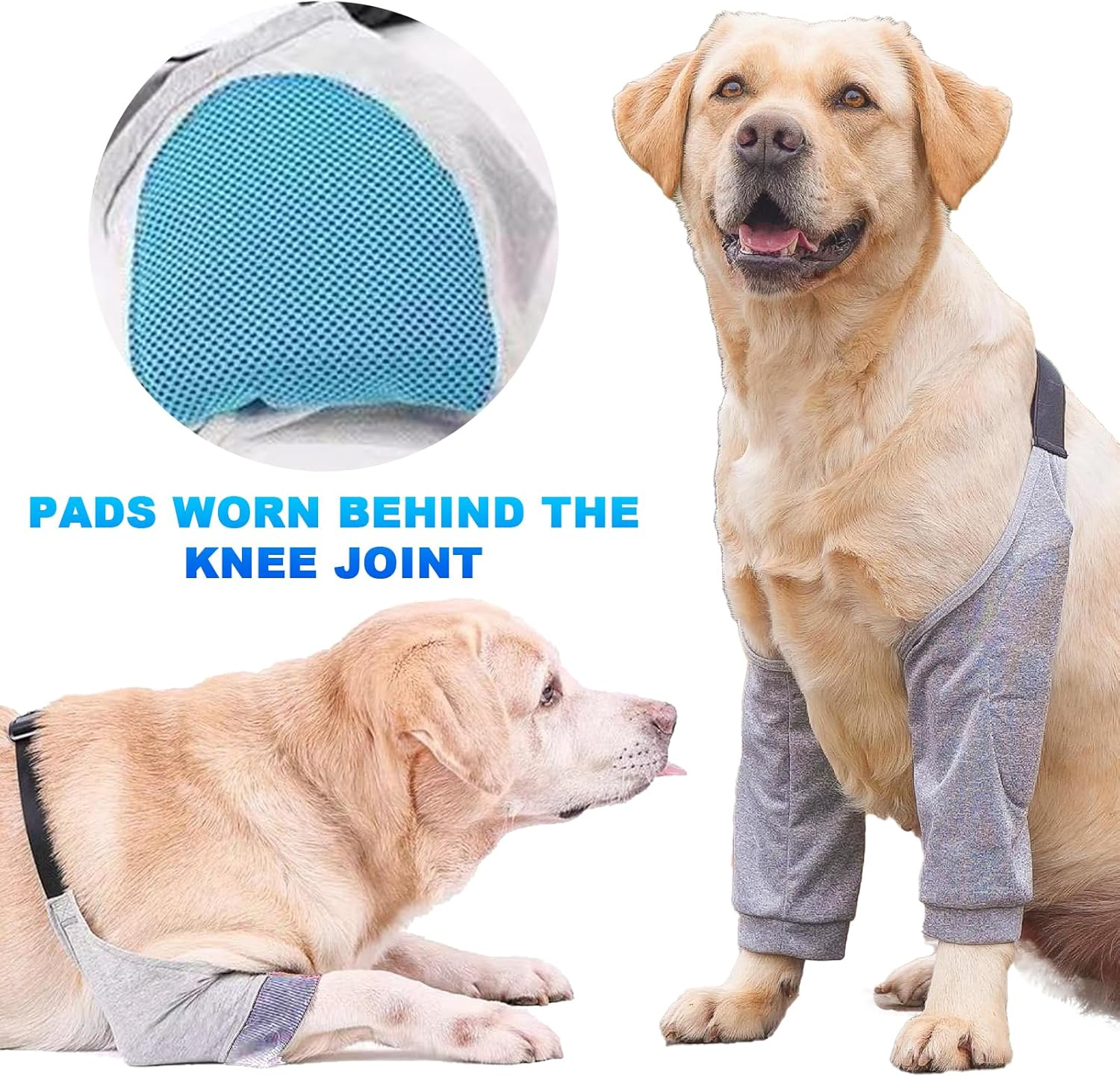 Dog Front Leg Braces Recovery Sleeve, Pet Dog Front Leg Hock Brace Elbow Protector, Pet Knee Brace Wounds for Medium Large Dogs (2XL, Grey) image number 1