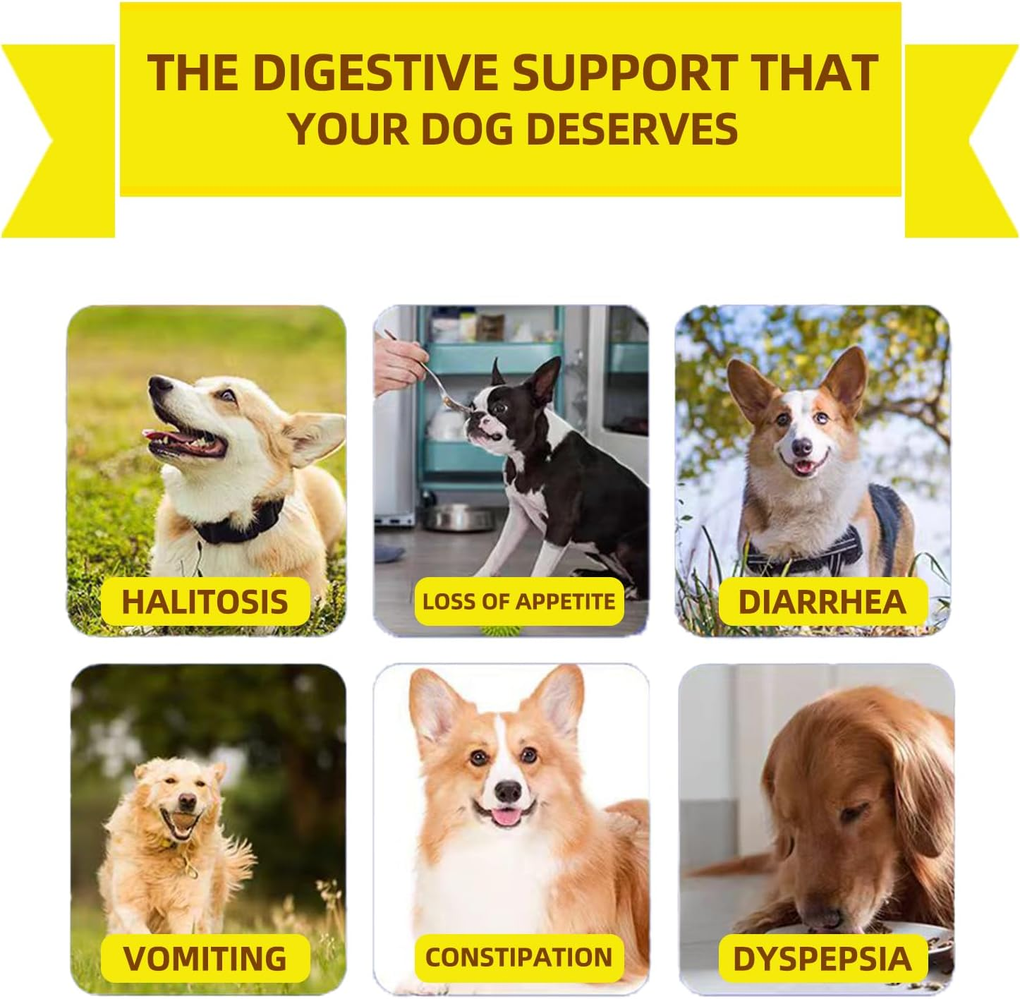 Probiotics for Dogs - Grain Free Digestive Support for Gut Health & Skin Comfort - Delicious Soft Treats with Prebiotics for Puppy, Adult & Senior Dogs image number 5