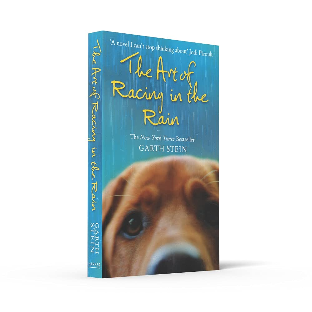 The Art of Racing in the Rain