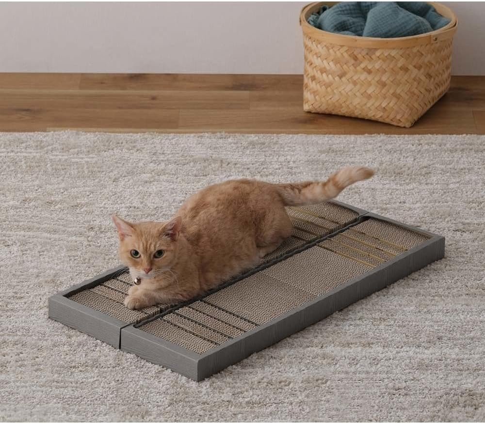 Iris Ohyama P-YT650 Nail Sharpener with Matabi Formulated Cat File Brown image number 2