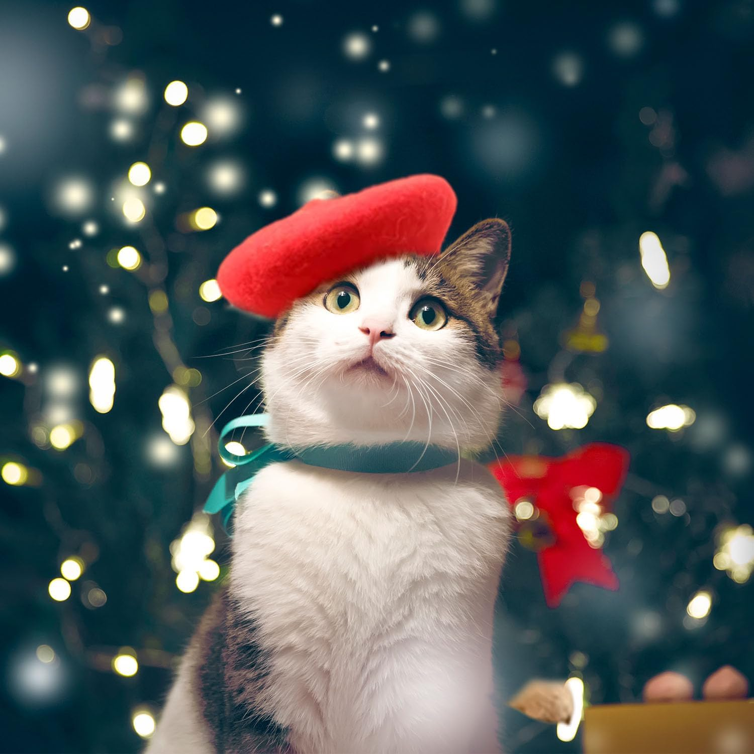 Dog Cat Beret Wool Hat Headband French Artist Beanie Beret Pet Dog Christmas Costume Hair Accessory Photo Props (Red, One Size) image number 5