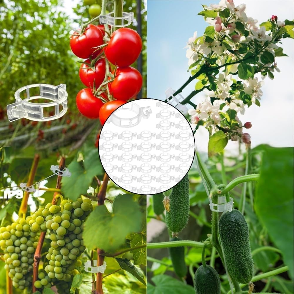 100 Pcs Plastic Plant Clips,Reusable Plastic Trellis Plant Support Clips for Support, Grape and Tomato Vine, Vegetables Plants(White) image number 4