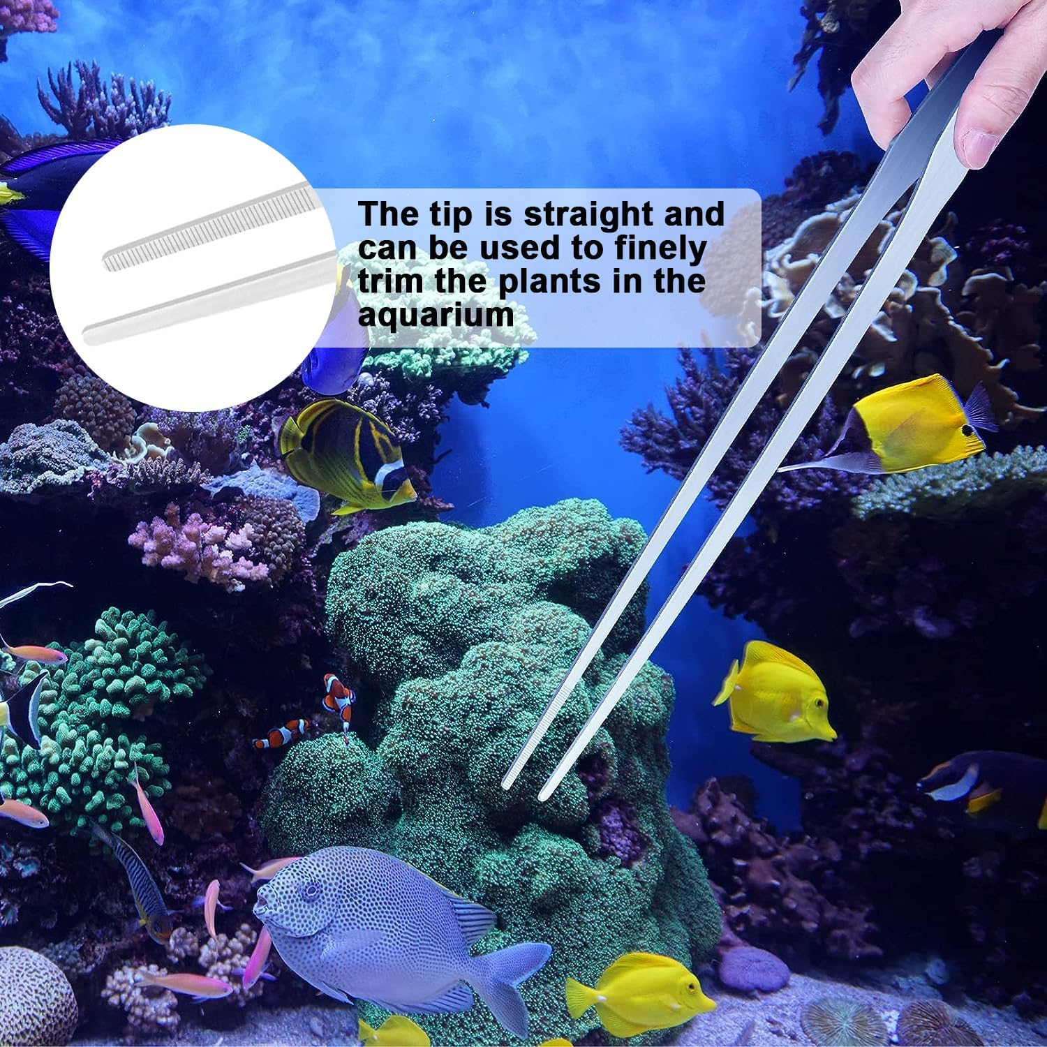 Aquarium Aquascape Tools Kits-4 in 1, Aquarium Tools Kit, Stainless Steel Aquatic Plant Tools Tweezers, Scissors, Scraper for Aquarium Cleaning, Fish Tank Aquascape Tool Set image number 2