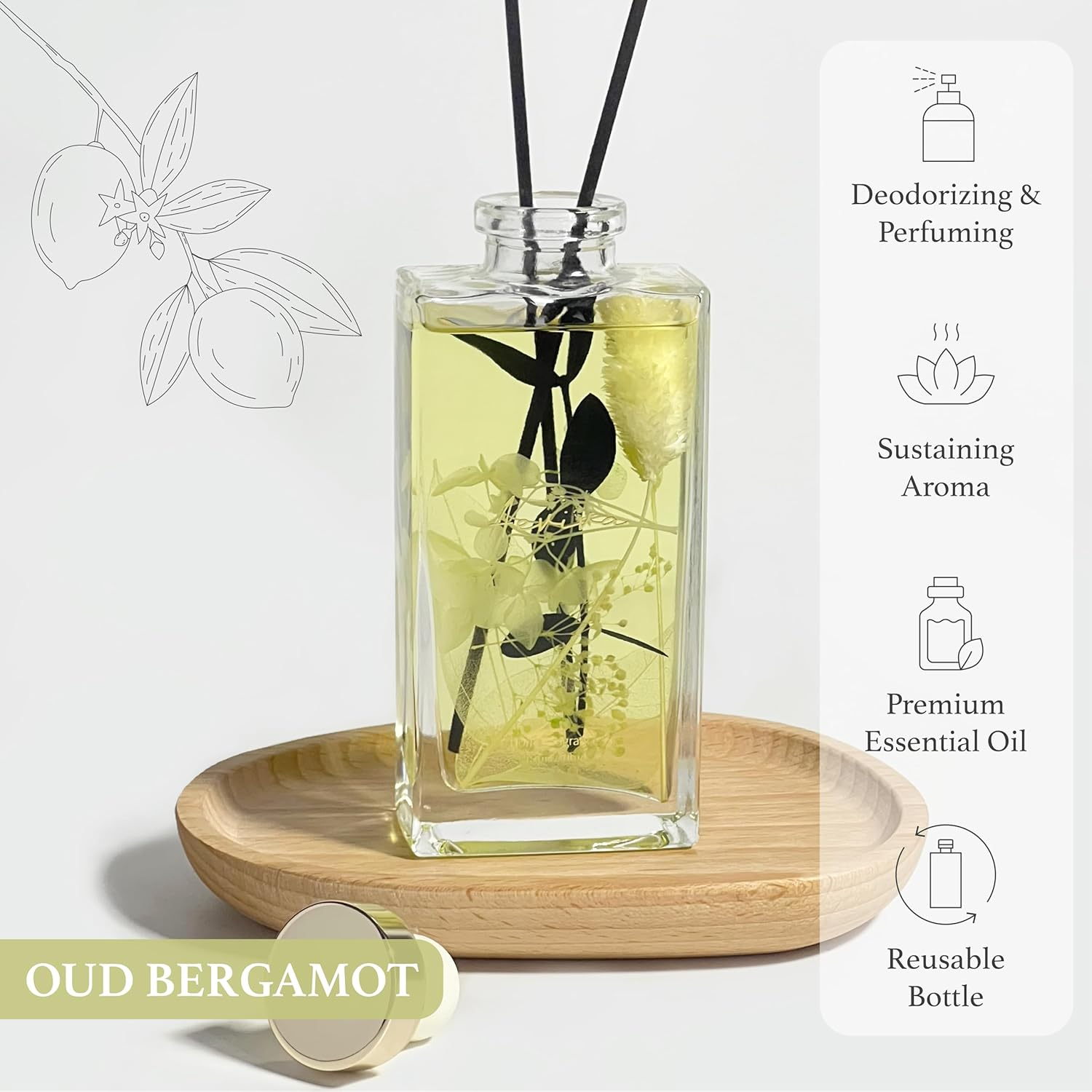 Reed Diffuser Set, 5 Fl Oz Glass Bottle Oud Bergamot Scent Oil Diffuser, Home Fragrance with Reed Sticks for Bedroom, Office, Bathroom Shelf Decor & Gifts