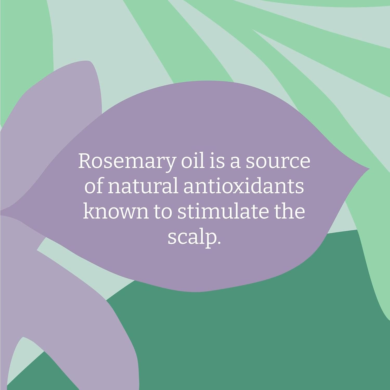 Faith in Nature Natural Rosemary Conditioner, Stimulating for Normal Hair & Scalp, Vegan & Cruelty Free, No SLS, Silicones or Parabens, 400Ml image number 4