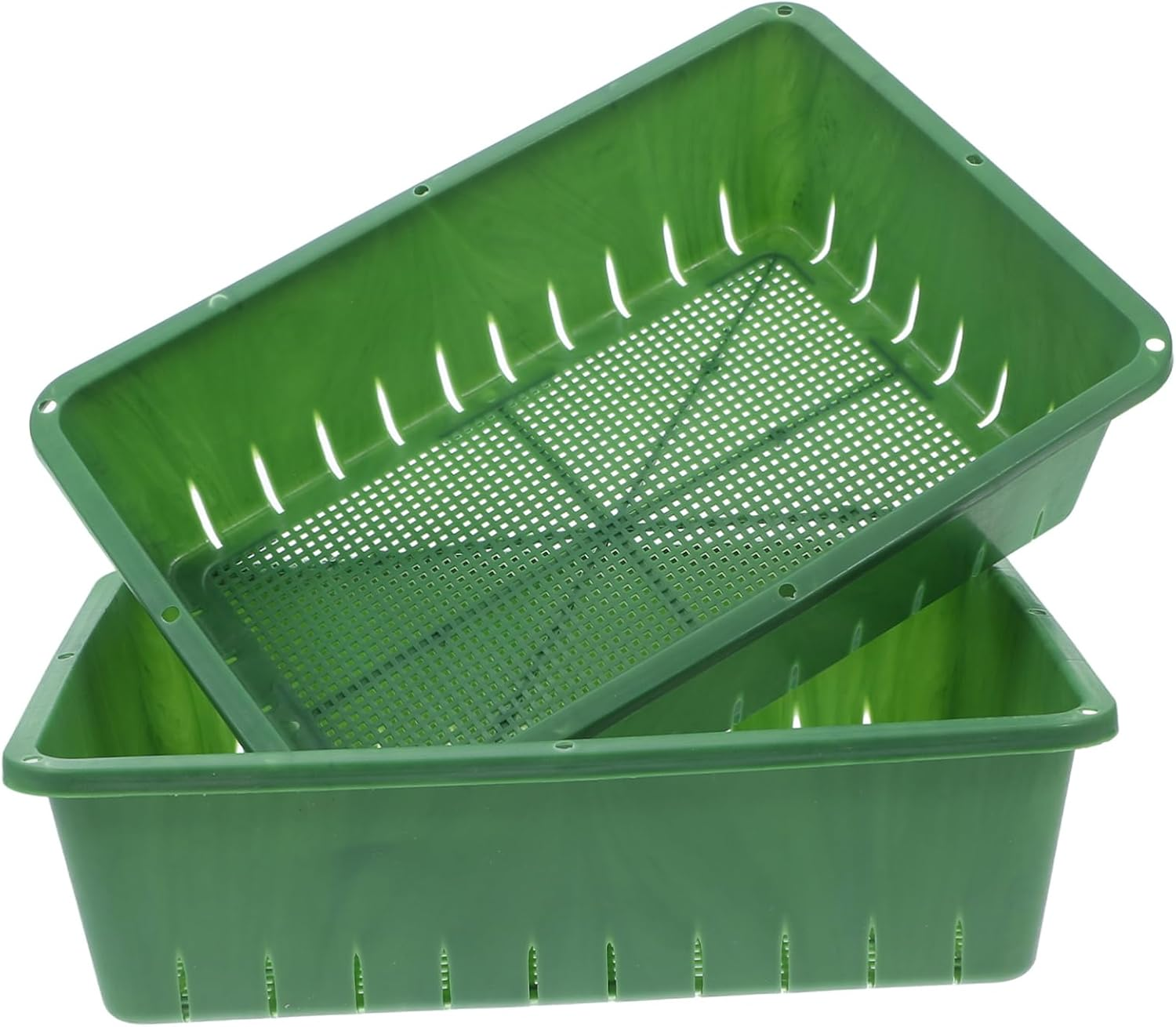 KONTONTY 2 Pcs Sprouting Trays for Seedling and Indoor Gardening Breathable Plastic Seedling Starter Trays Small Size 26X18X7Cm Green Plant for Healthy Root Development image number 2