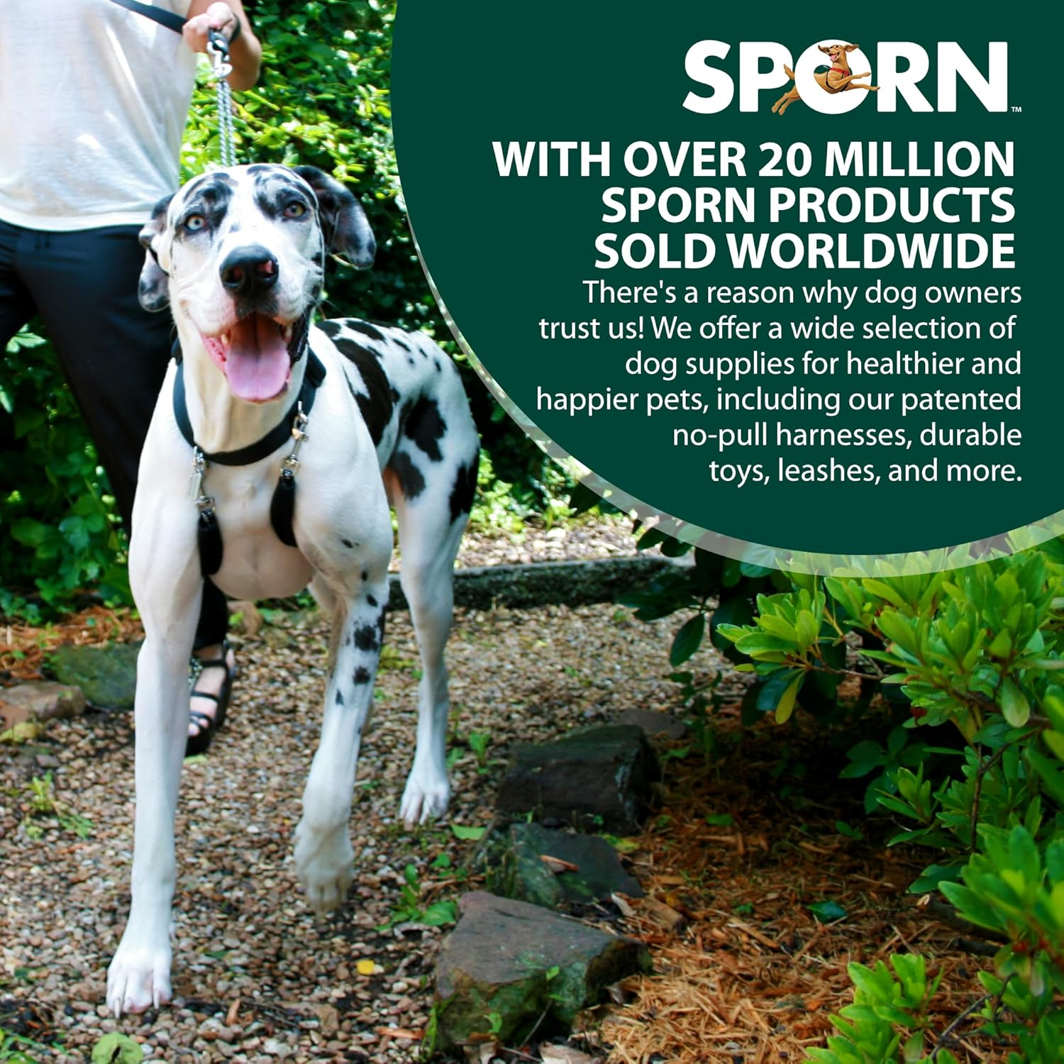 Sporn Big Dog Original Training Dog Halter Black Extra Large image number 5