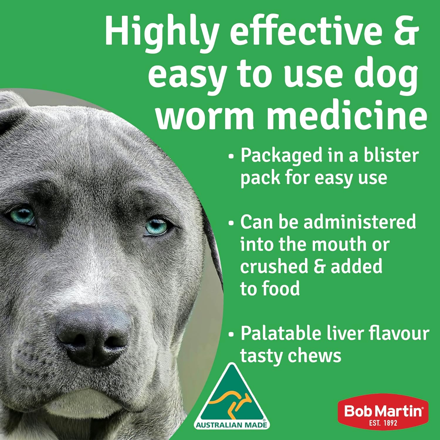 Bob Martin Worming Tablets for Dogs - Worming Treatment for Medium & Large Dogs. Kills 5 Most Common Worms in 1 Dose. 4 Chewable Liver Flavored Tablets 40G image number 3