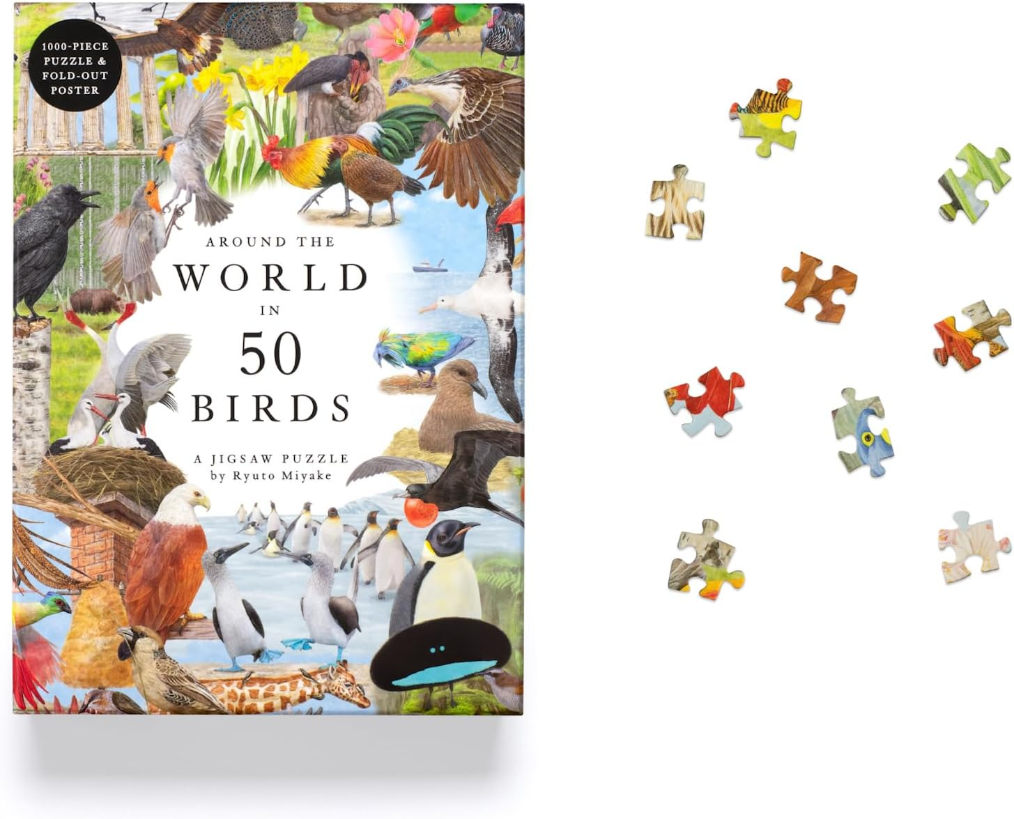 Around the World in 50 Birds: 1000 Piece Jigsaw image number 4