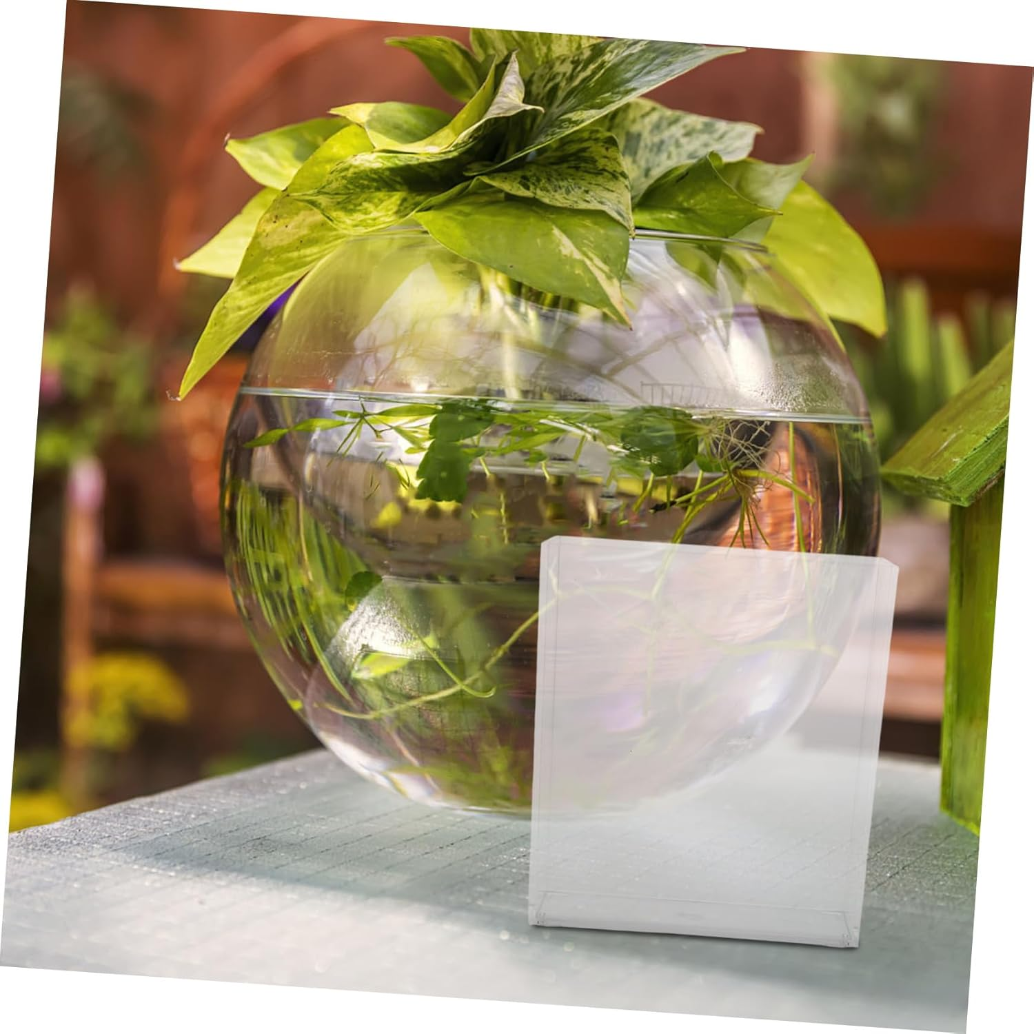 LRXIYODE Small Fish Breeding Box Aquarium Tank Portable Desktop Aquarium Tank for Fish Isolation and Shrimp Hatchery Suitable for Betta and Small Aquatic Pets image number 2