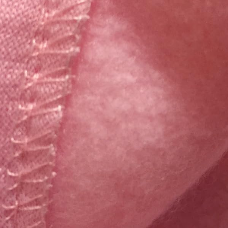 Izefia Dog Hoodies with Security Print Dog Clothes with Warm Sweatshirt Sweater Cotton Coat for Small Dogs Pink 5XL image number 6