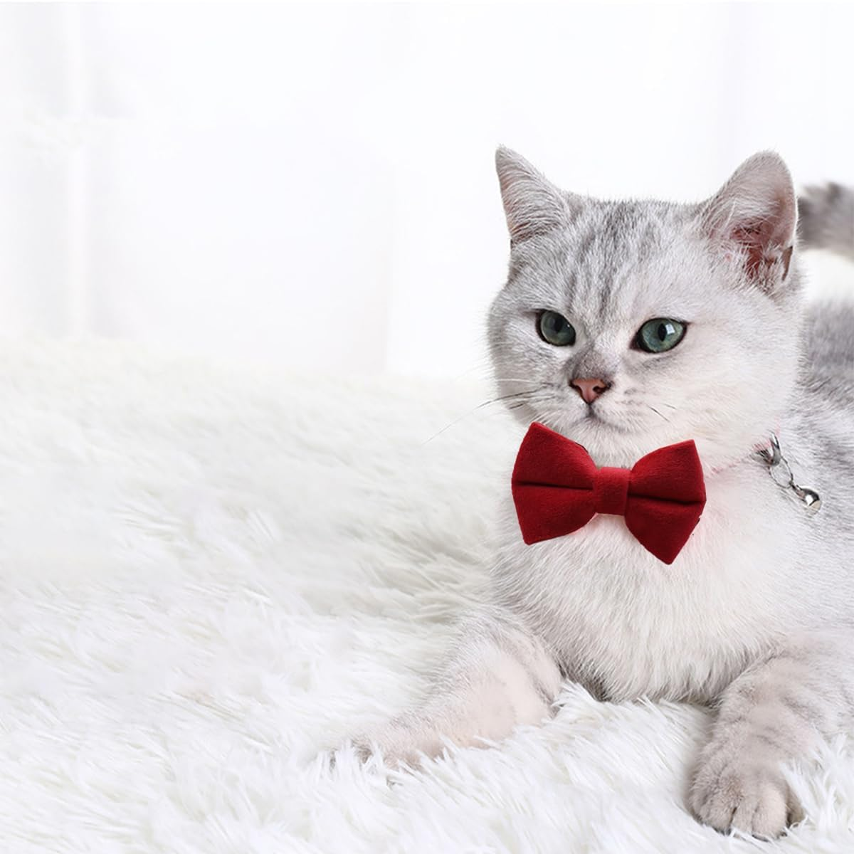LEEQ Velvet Cat Collar with Bell and Bow Tie, with Safety Clasp, Adjustable, for Small Puppies, Safety Bow Tie, Plain for Weddings, Basic Colour, Cat Bow Tie image number 4