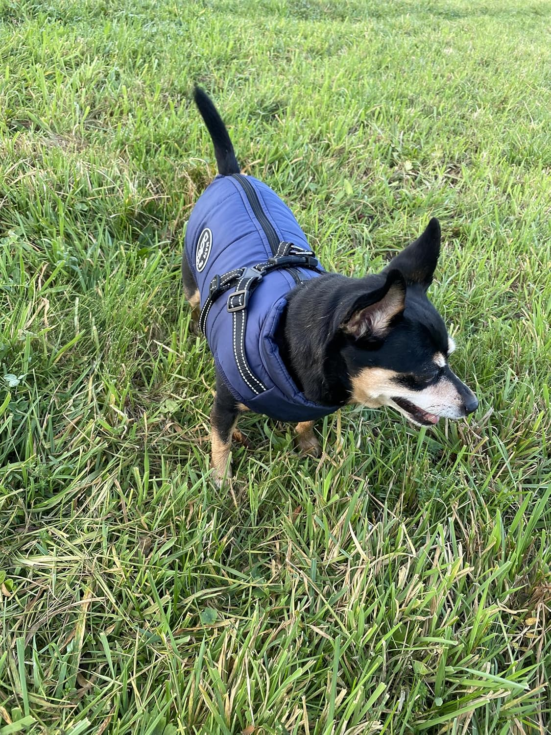 MATE for DOGS&reg; Dog Jacket Winter Vest Jackets Dog Coat Dog Jumper Pet Vest with Chest Harness Strap Lined (L, Blue) image number 5