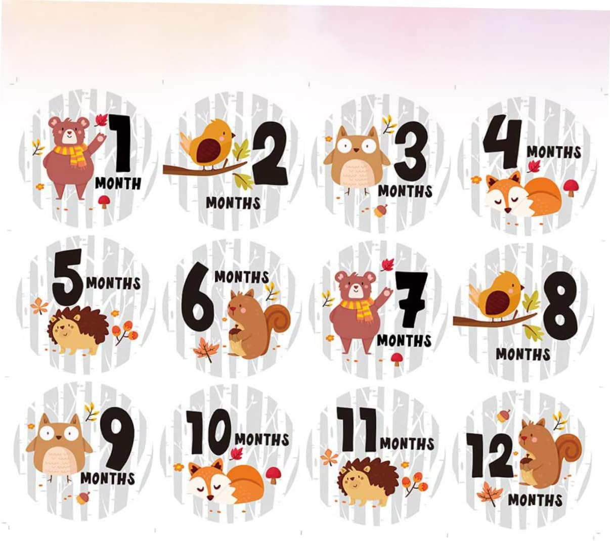12PCS Milestone Stickers Creative round Animal Design Self Adhesive Newborn Photography Props for Tracking Growth and Media image number 5