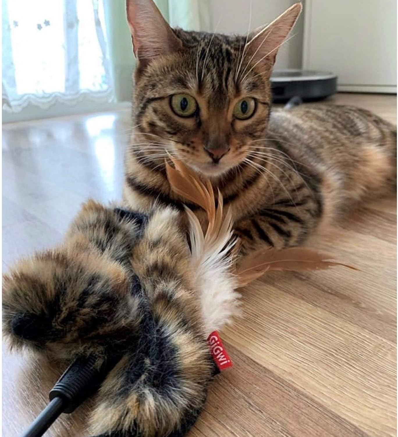 Gigwi Feather Teaser image number 3