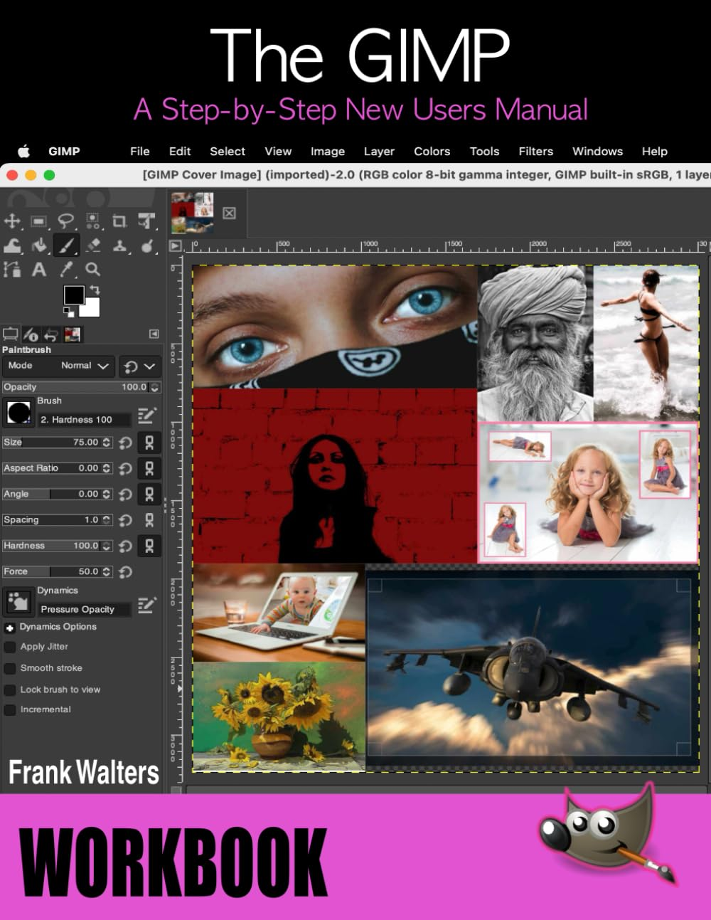 The GIMP Workbook: a Step-By-Step New Users Manual