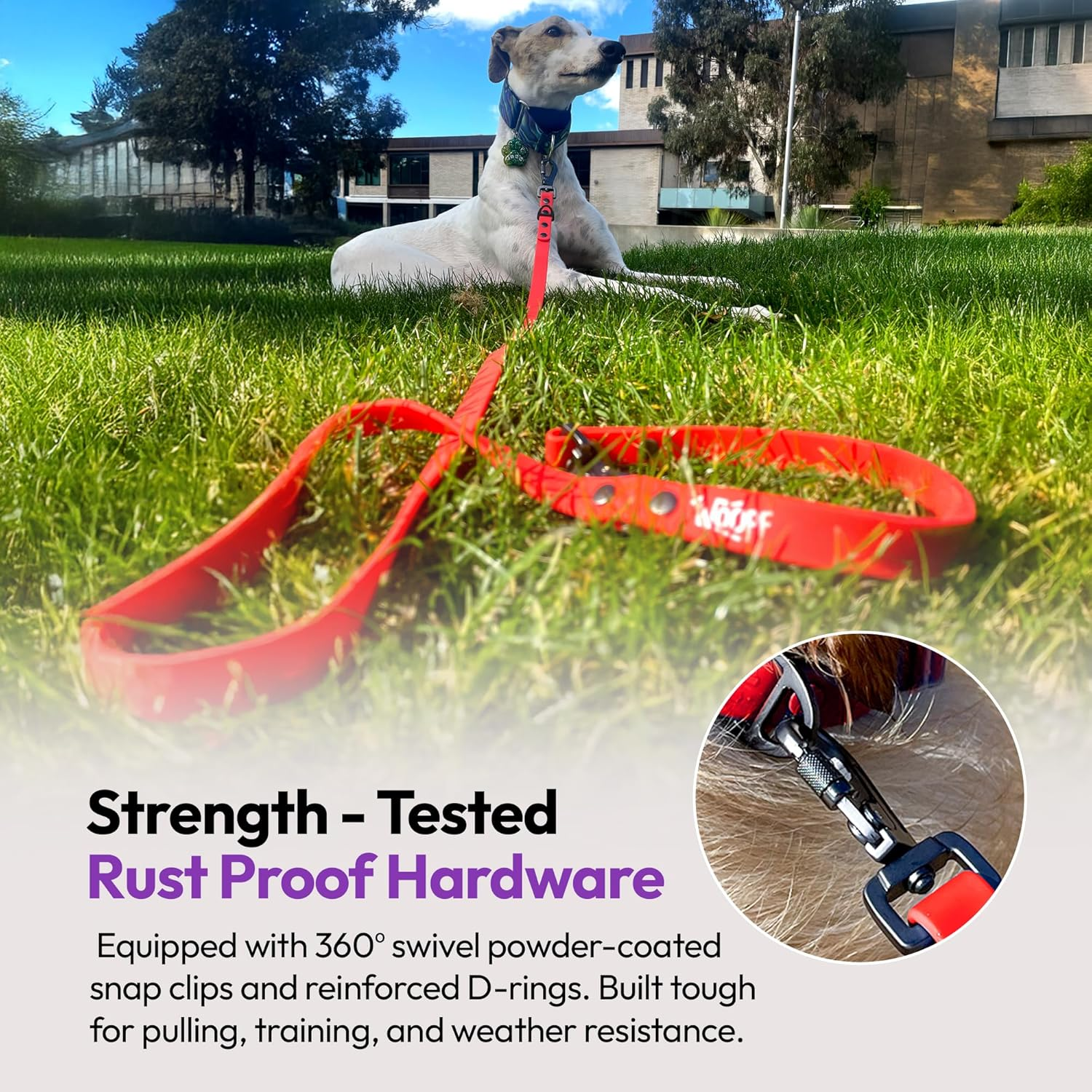 Waterproof Training Leads for Dogs & Puppies | Strong Dog Leash for Playing, Running & Walking | 6.5Ft Adjustable Long Dog Lead | Durable & Stain Resistant | Adjustable Size (Coral) image number 2