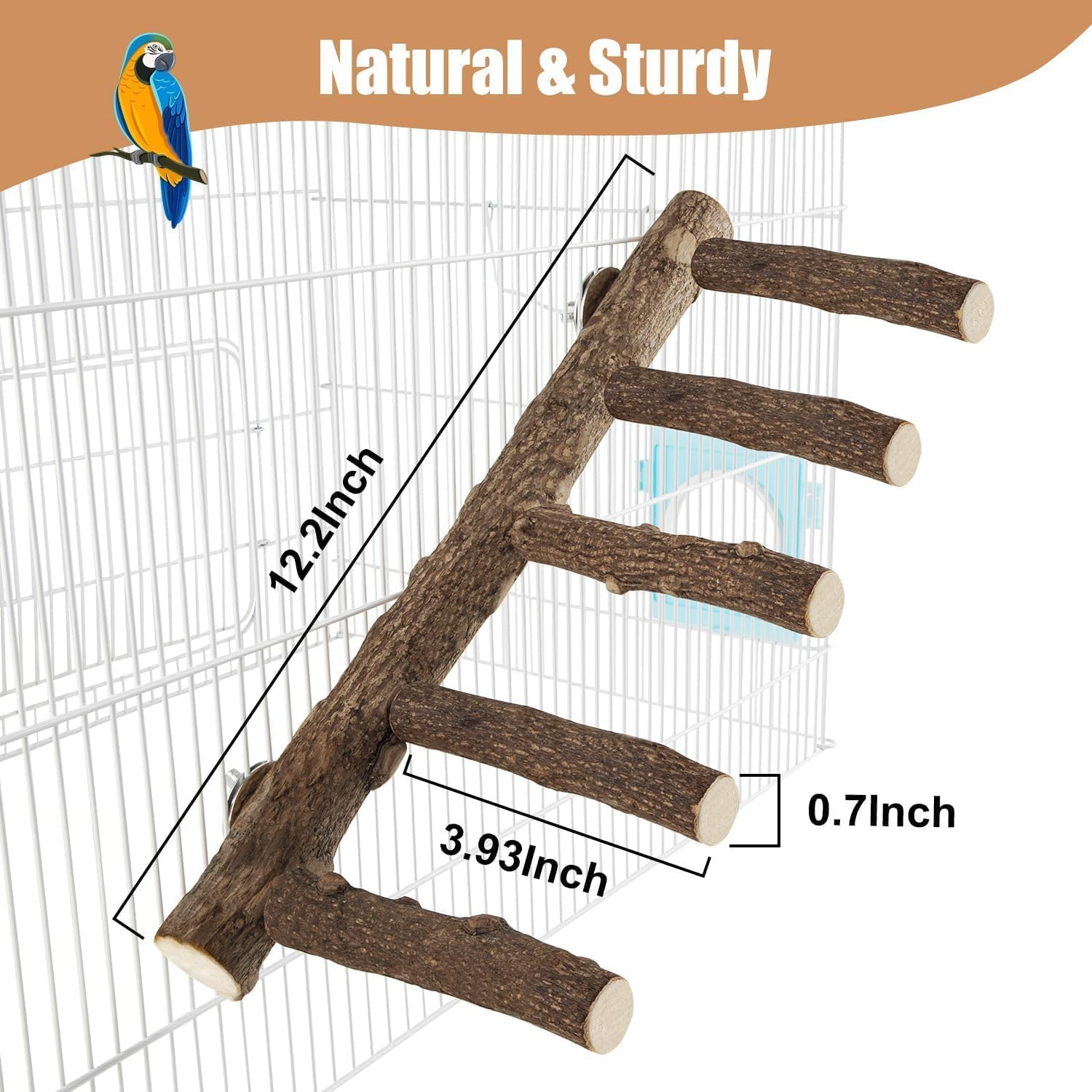 2Pcs Natural Bird Ladder for Small Medium Parrot, Conures, Hamsters, Parakeets, Cockatiels - 12.2Inch Length Parrot Perch
